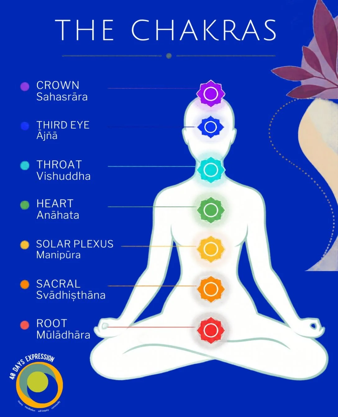 We are officially in Week 2 of 40 Days: Expression! 🎨

This program is a powerful reminder of what happens when we commit to showing up: on our mats, in our meditation practice, with our community and for ourselves. This 40 days theme is extra speci