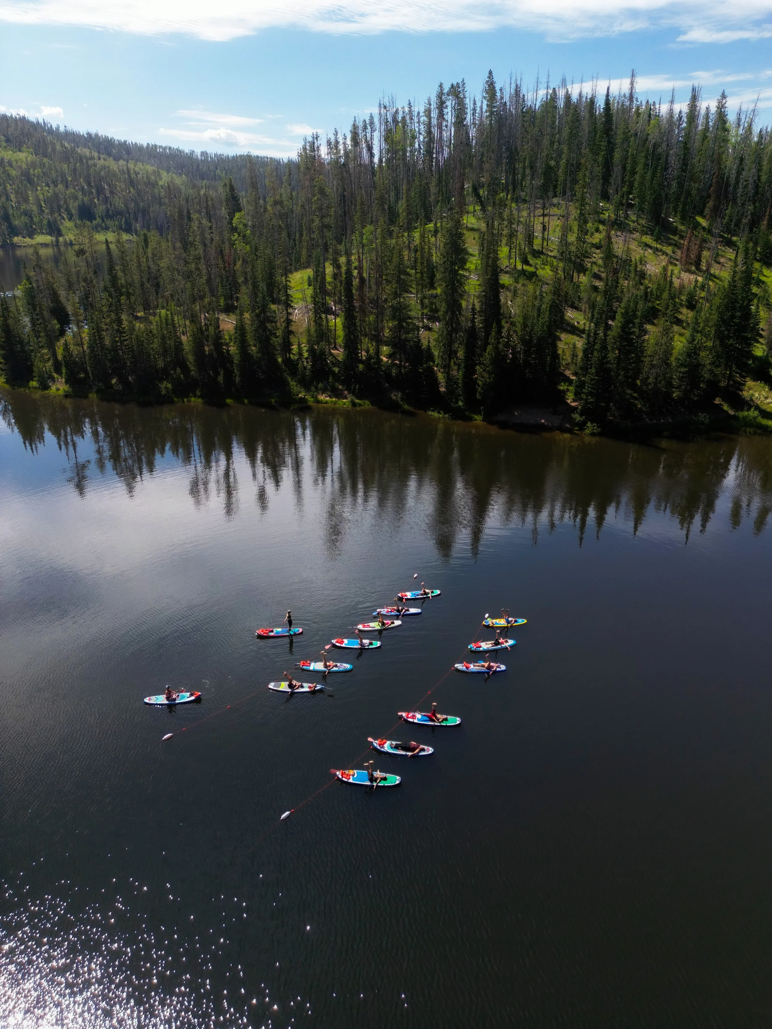 A group of people stand on paddleboards on a calm lake, surrounded by a forested area with tall trees and green hills in the background, under a partly cloudy sky.