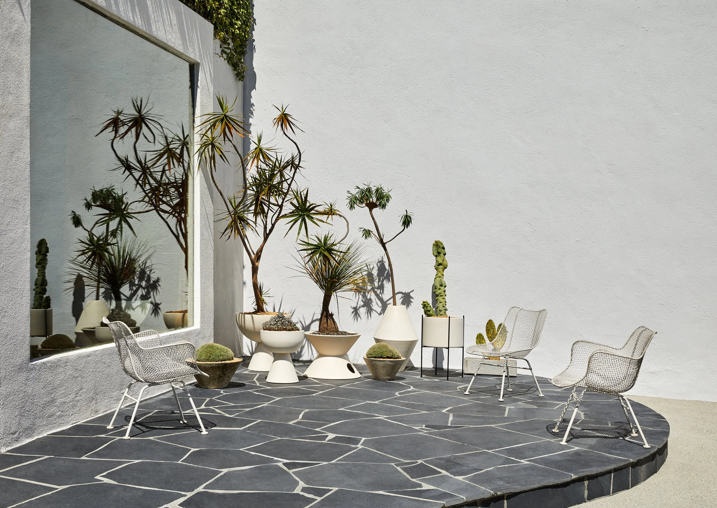 Exterior Cactus Garden