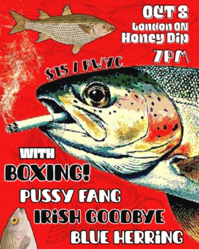 Boxing - Pussy Fang - Irish Goodbye - Blue Herring