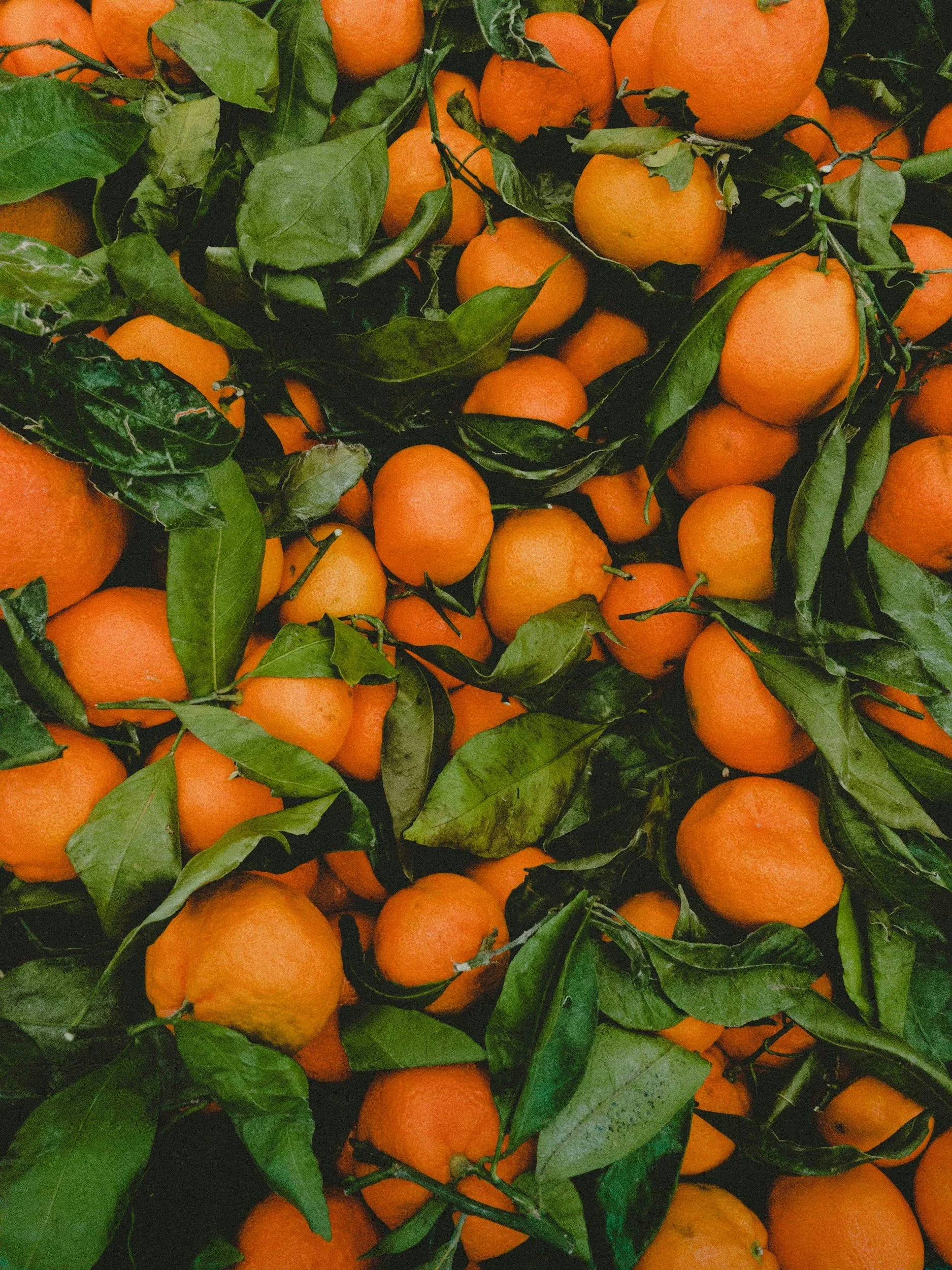 A pile of tangerines with green leaves still attached.