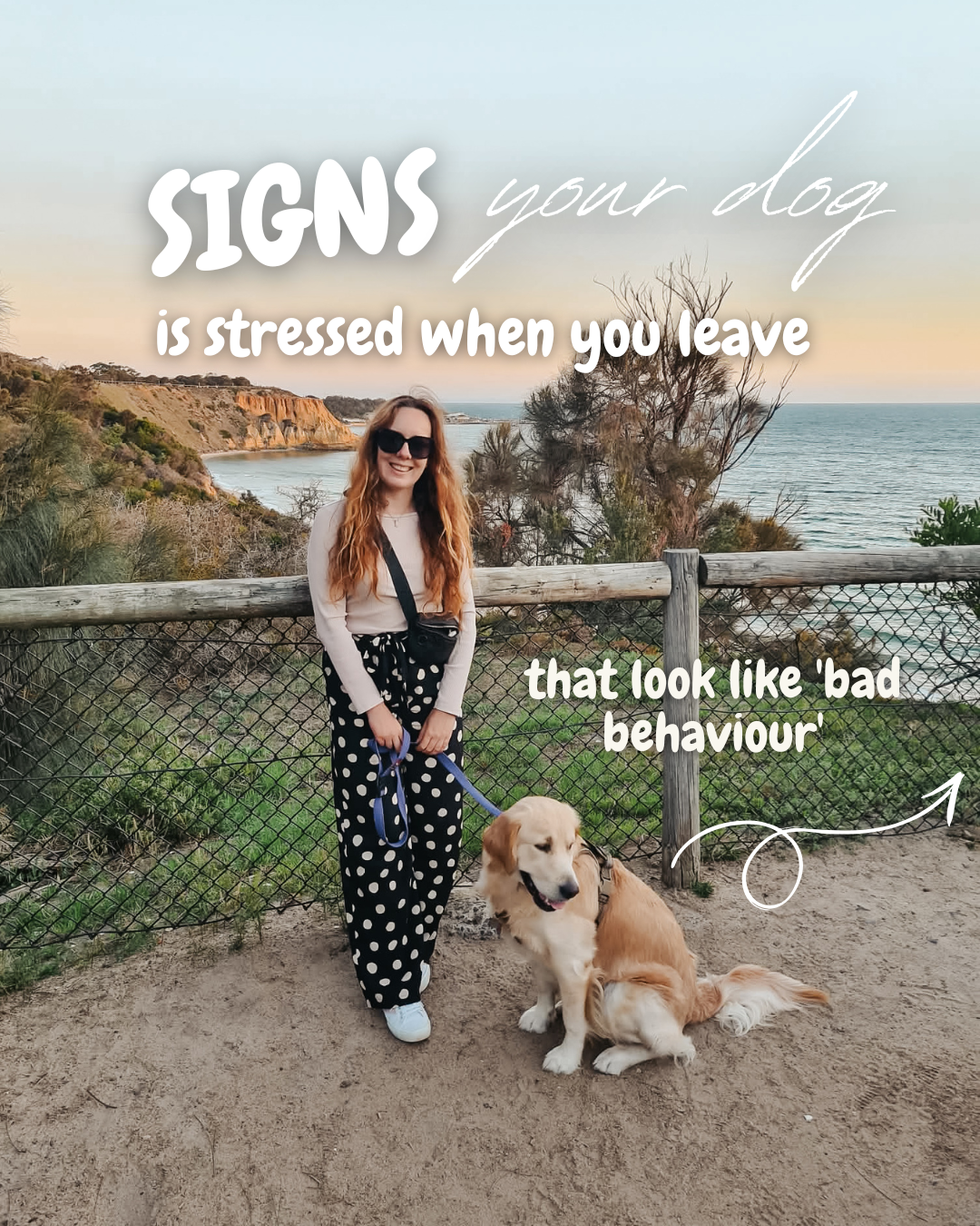 Ewa Loves PawDays trusted pet sitter Melbourne Australia