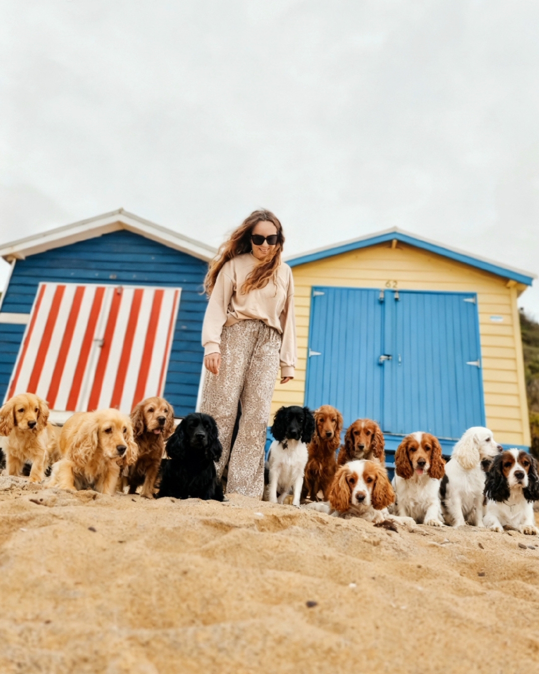 Ewa Loves Paw Days: Branding & Socials