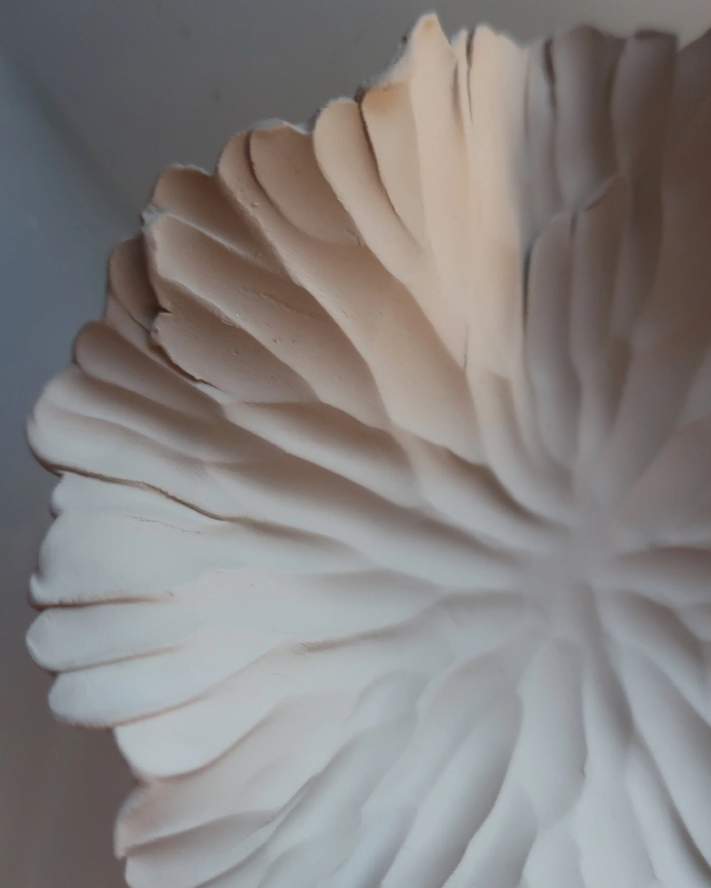 The delights in the details