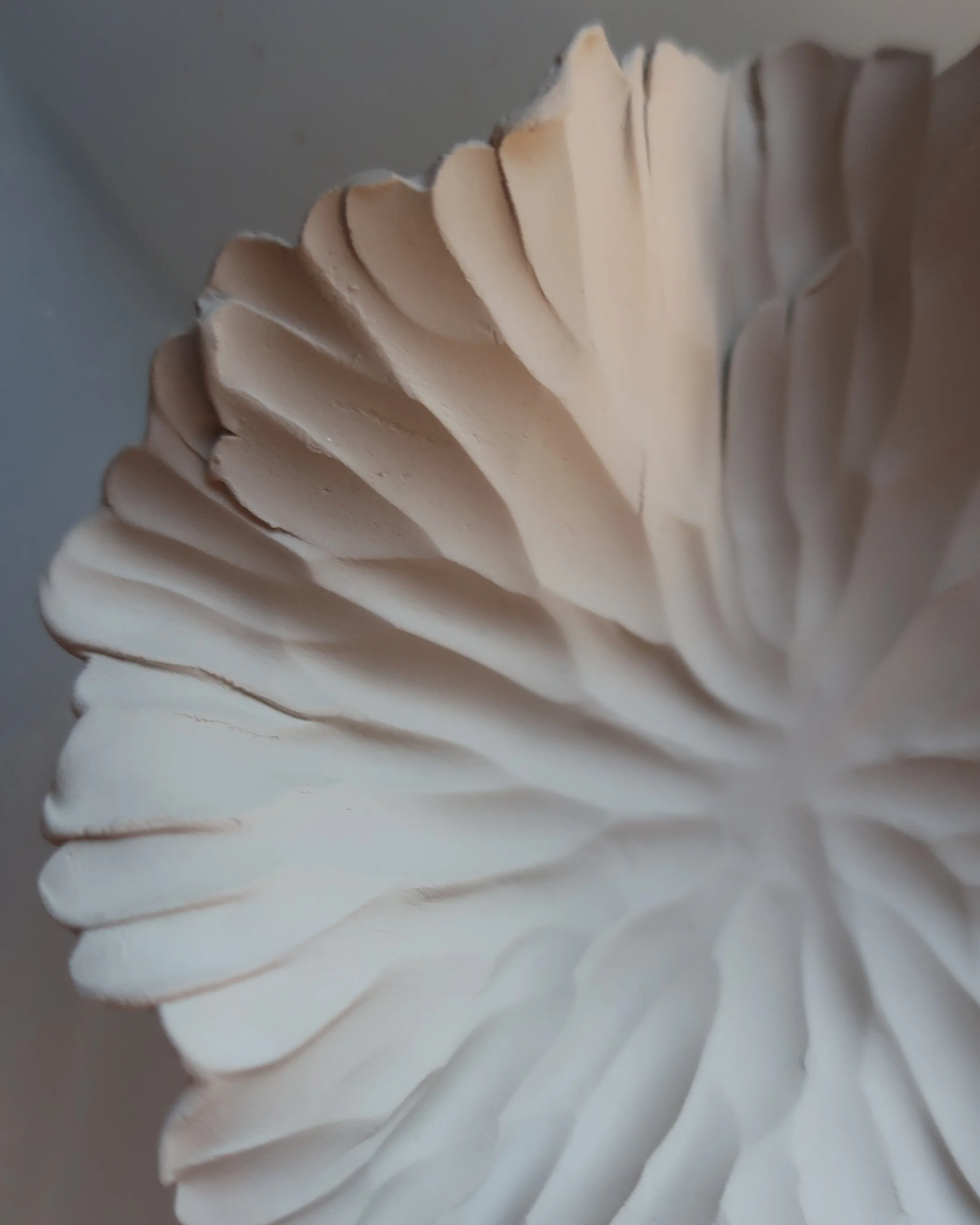 Close-up of a white, textured, sculptural object with layered, curved ridges.
