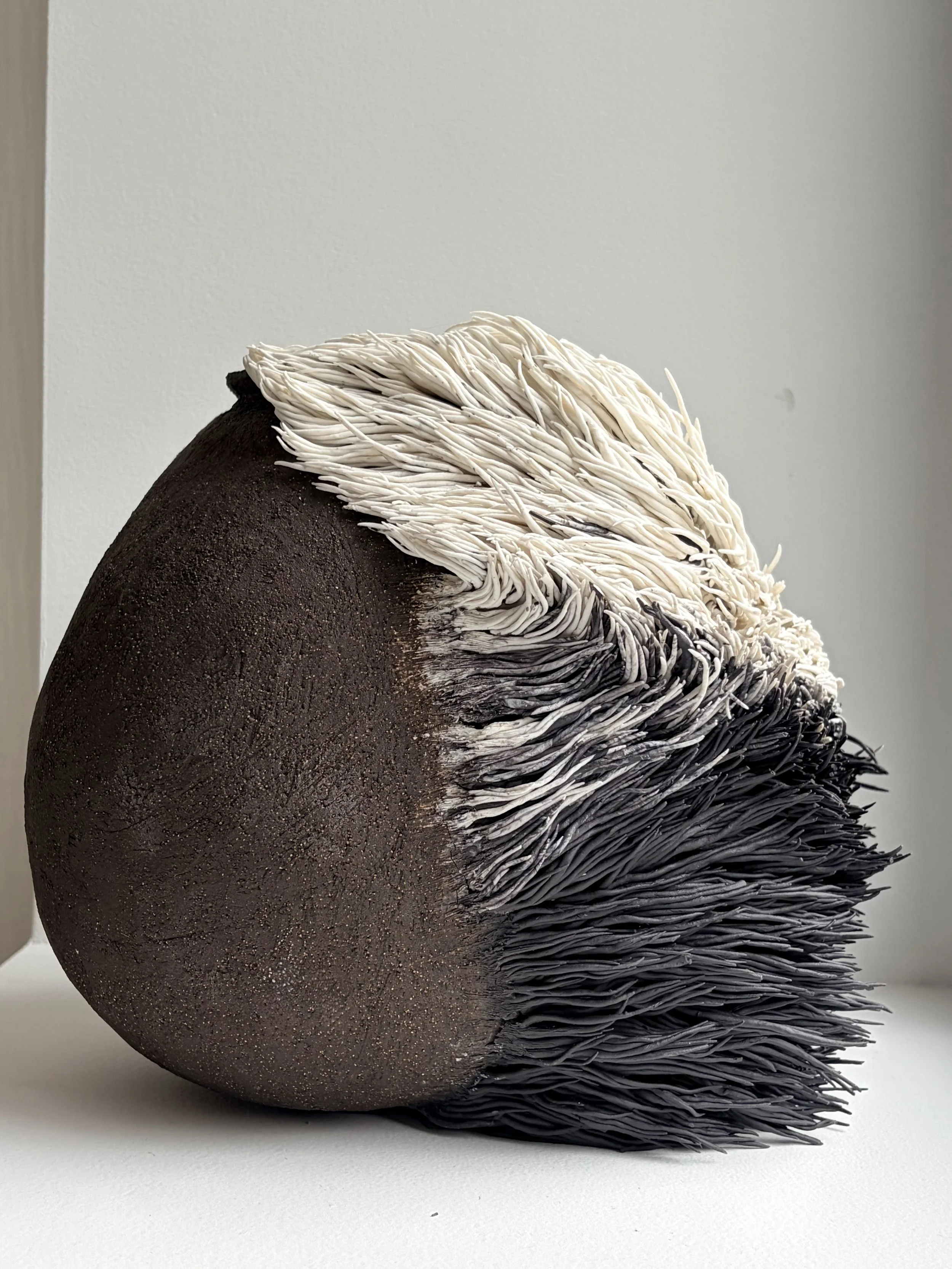 IMG_9749.jpeg