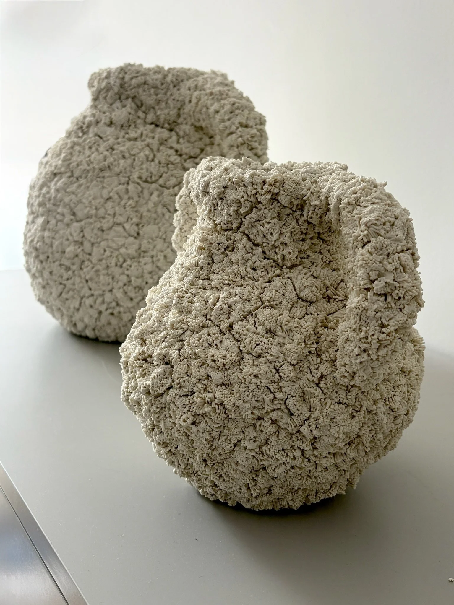 deux vases avec anses texturées et inspirées des coraux des mers froides, placés sur une surface blanche.