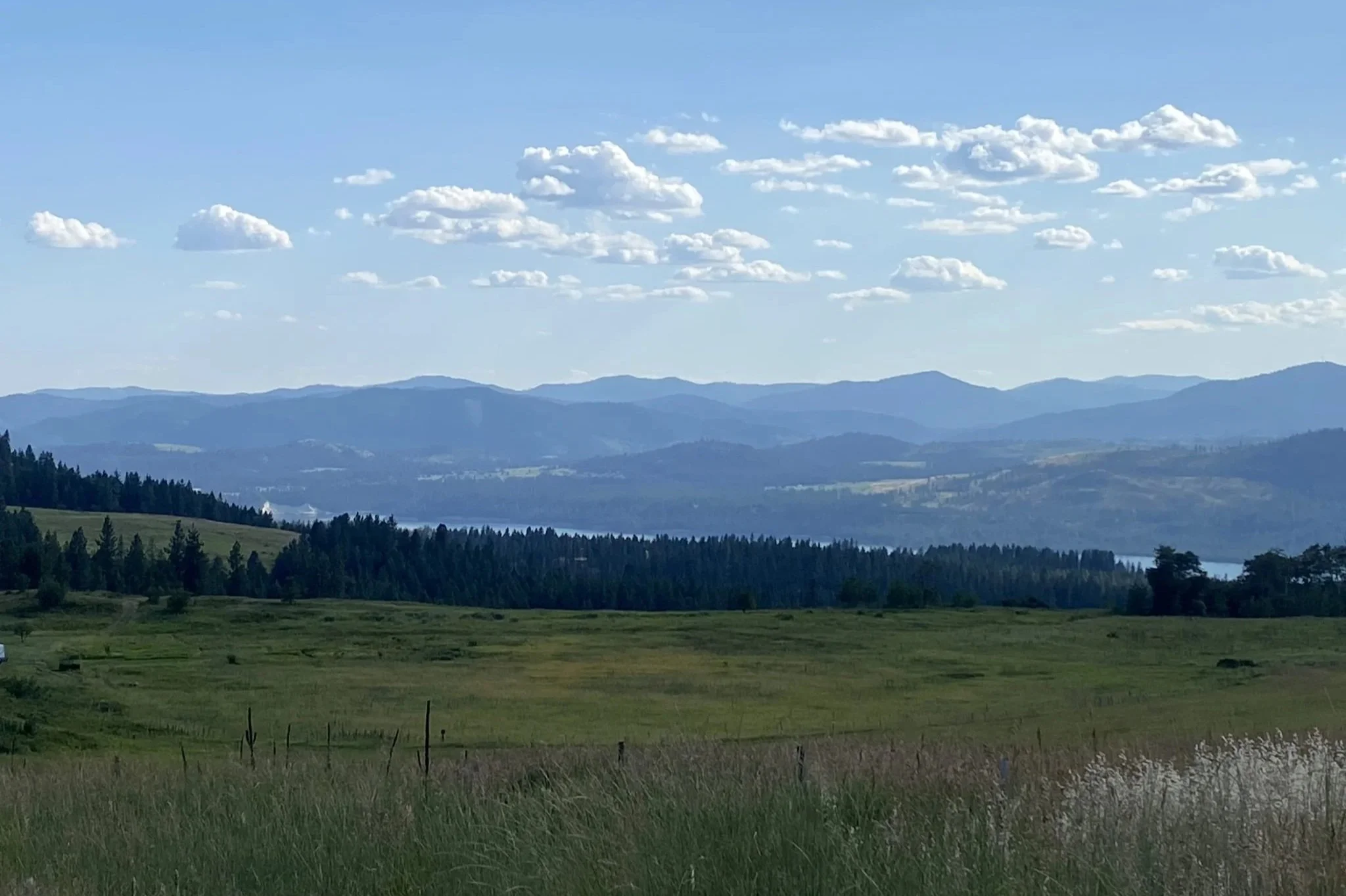 If You Could Invent a World, What Would You Surround Yourself With?