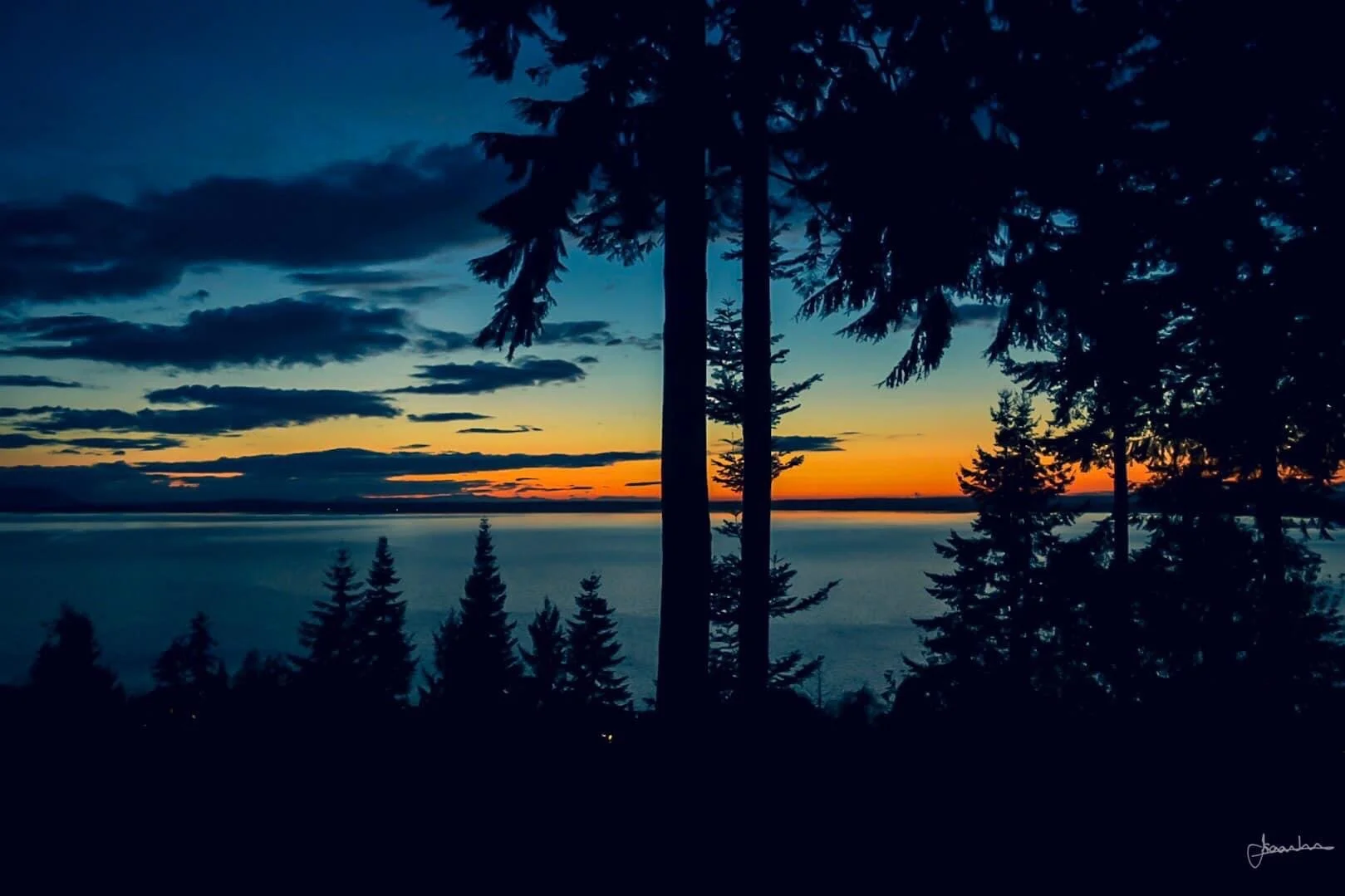 Silhouetted trees against a colorful sunset over a body of water.