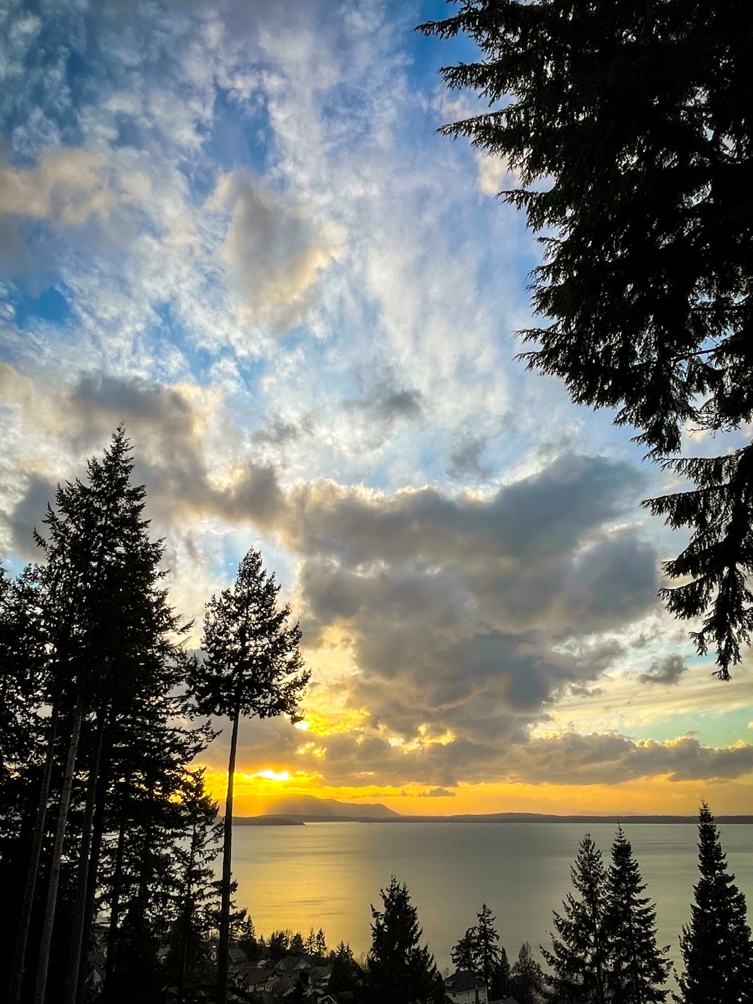 Sunset over a body of water with clouds and silhouetted pine trees in the foreground.
