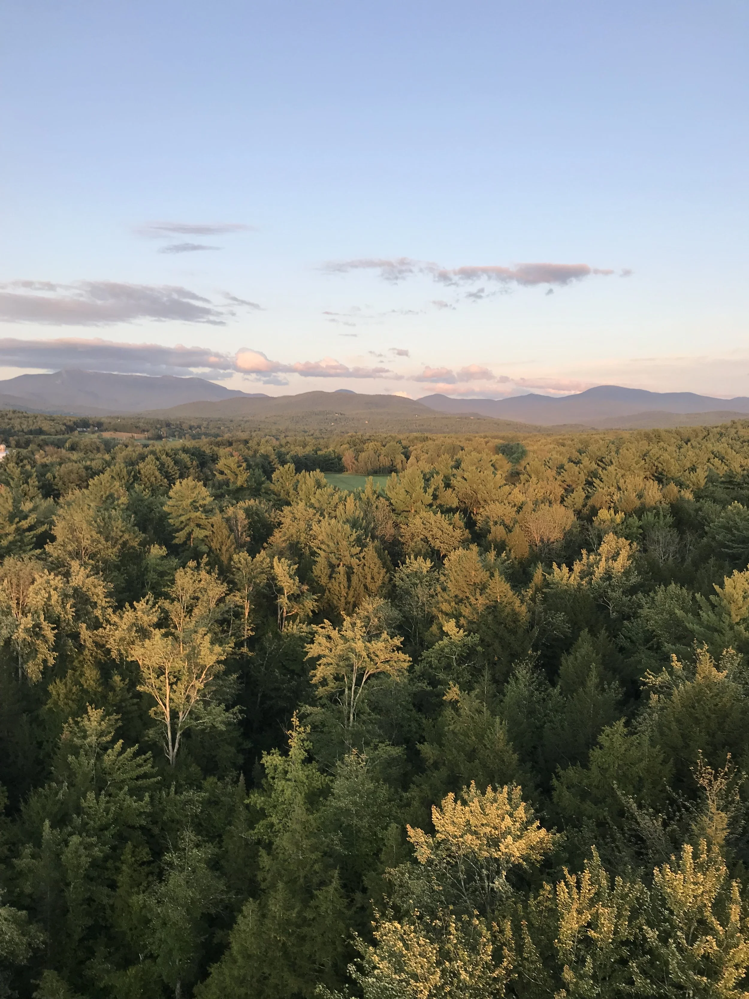 Photo of trees taken from a hot air balloon in Vermont