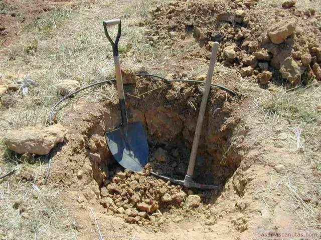 Comprehensive Health & Safety Systems Assessment