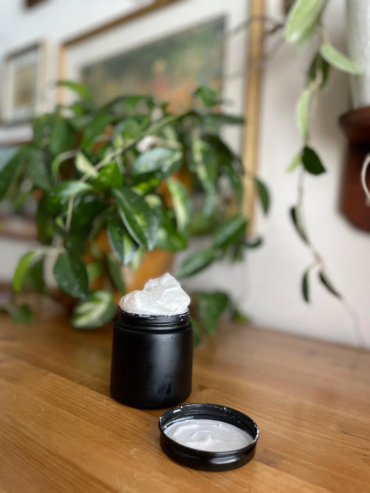 WhatsApp Image 2026-02-02 at 6.51.13 PM.jpeg