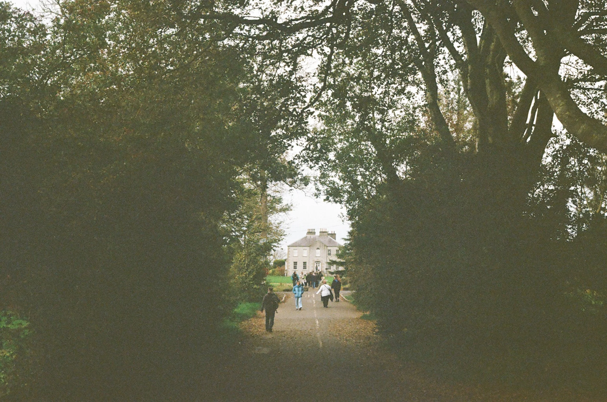 11.25, the dark hedges