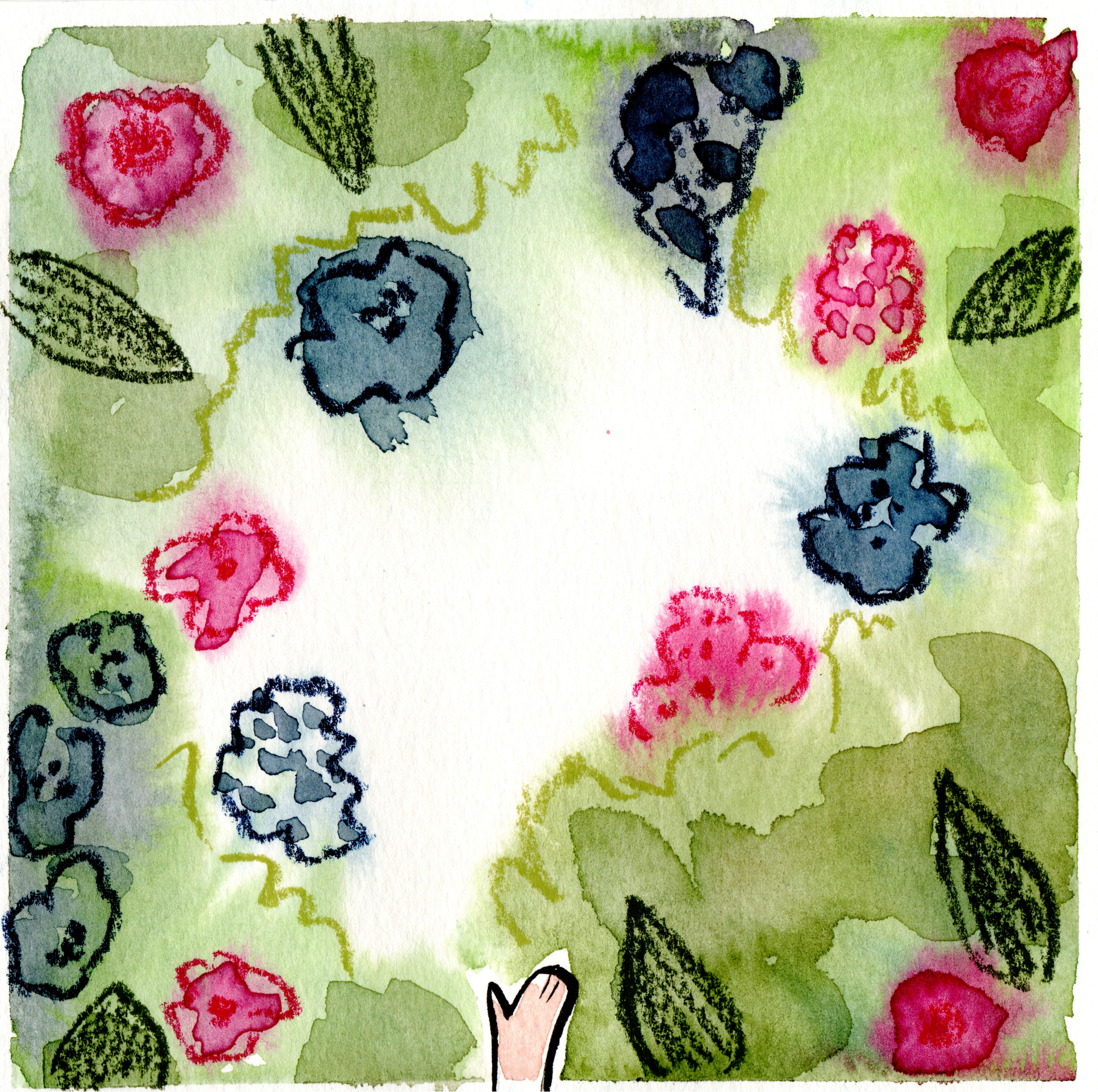 A child's hand picking flowers