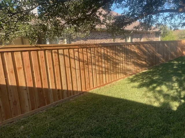 A wooden board on board privacy fence that we installed in a backyard, with grass and trees casting shadows.