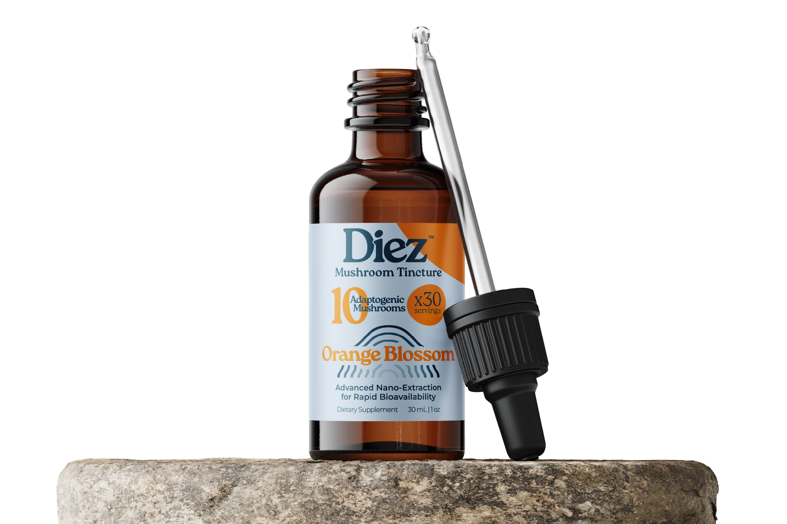 Diez Brandbook mockup 5-10.png