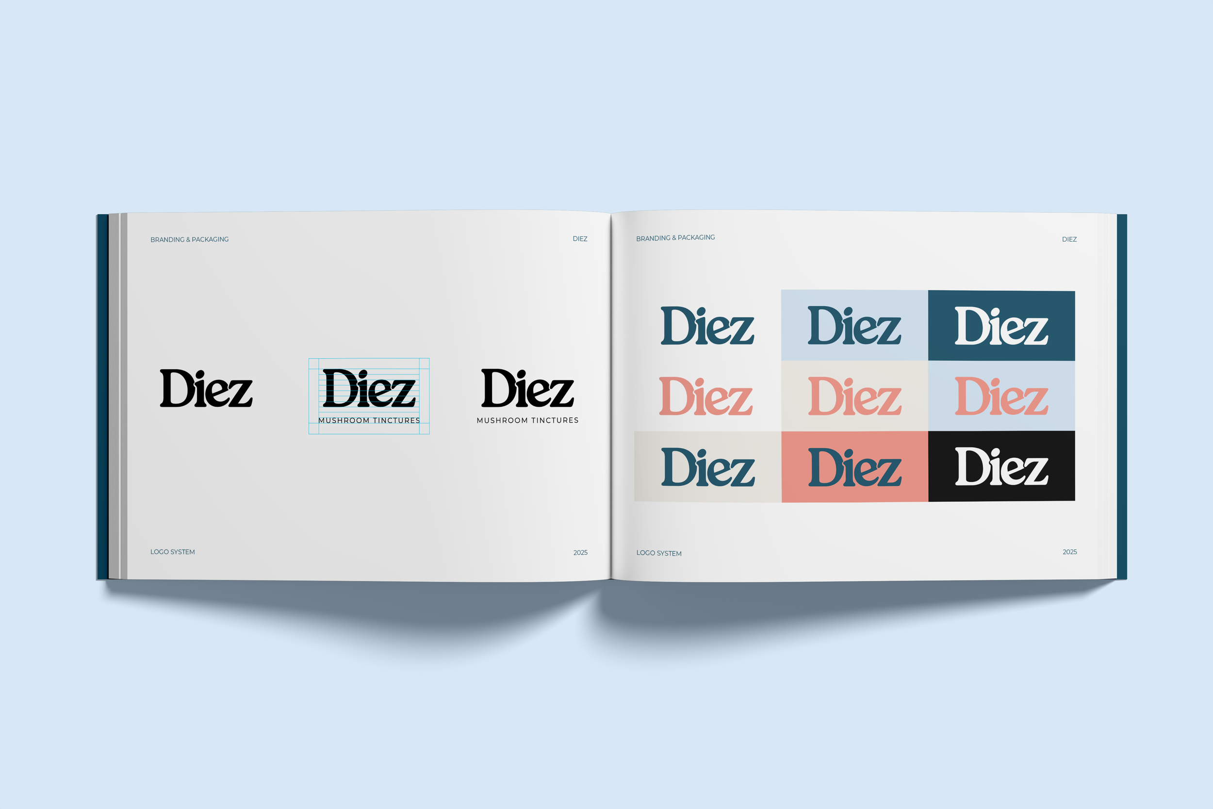 Diez Brandbook mockup 1.png