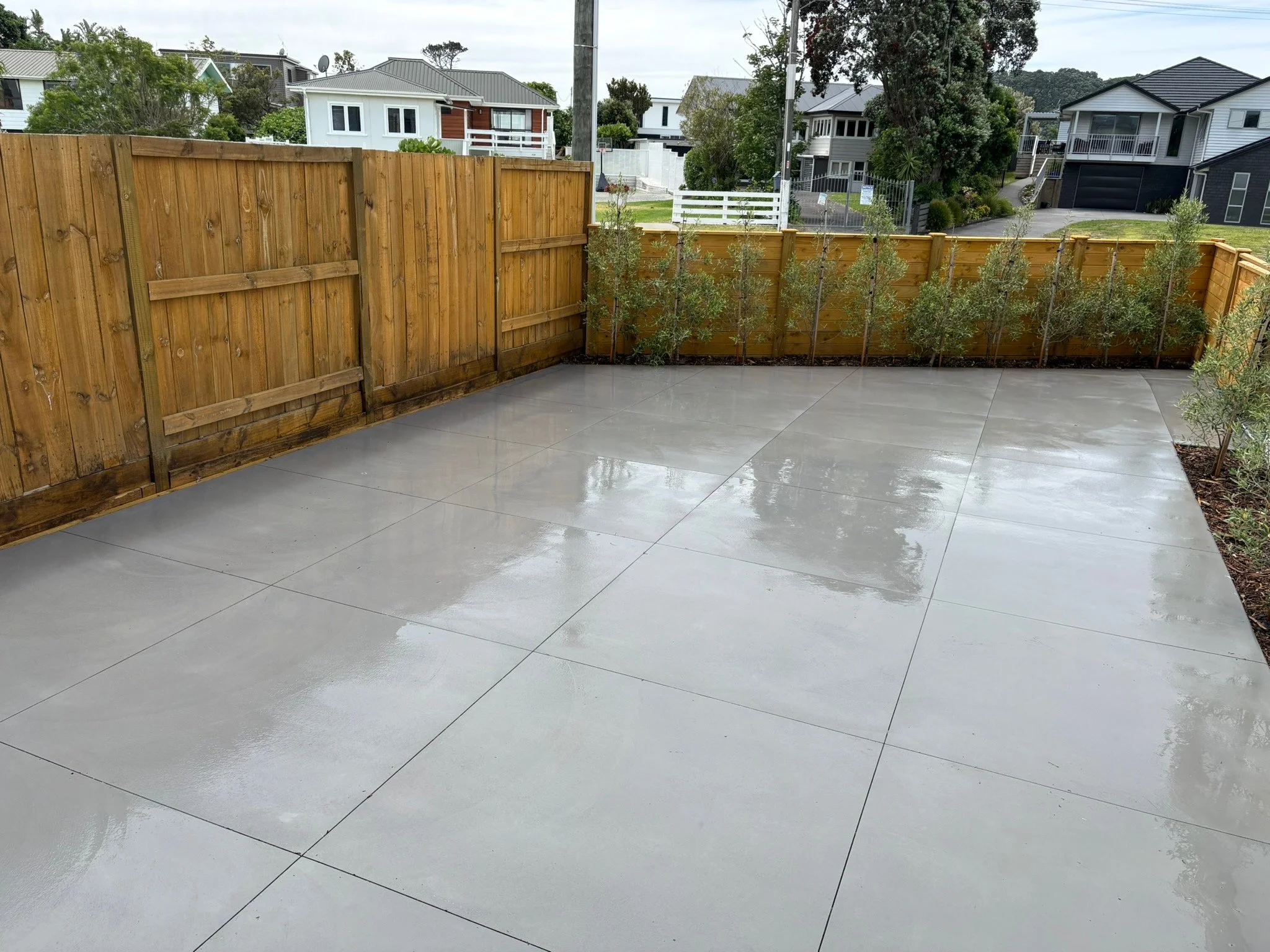 Wet patio with large concrete slabs, surrounded by a wooden fence and beside small plants.