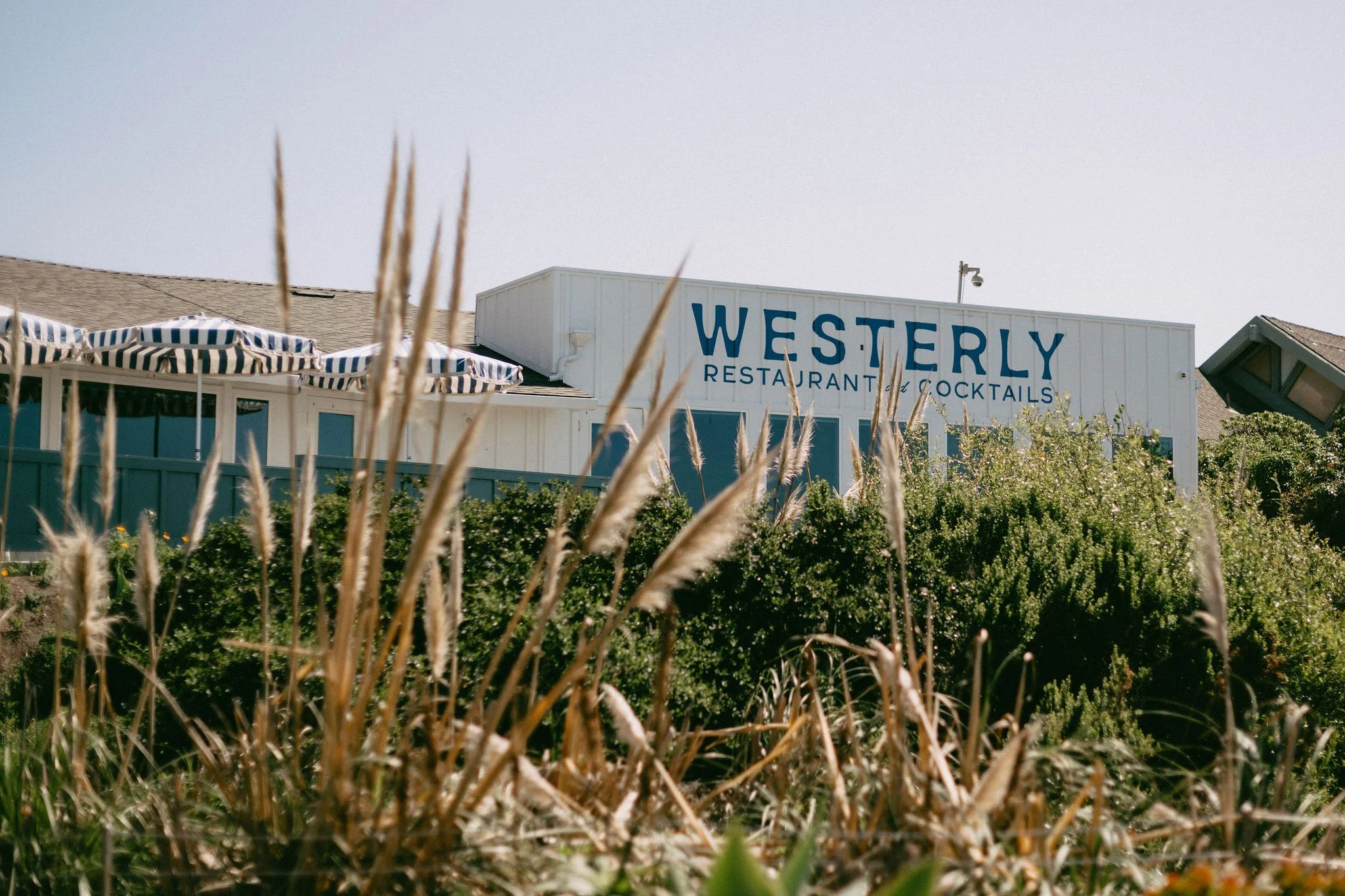 Westerly_Day_Digital-186.jpg