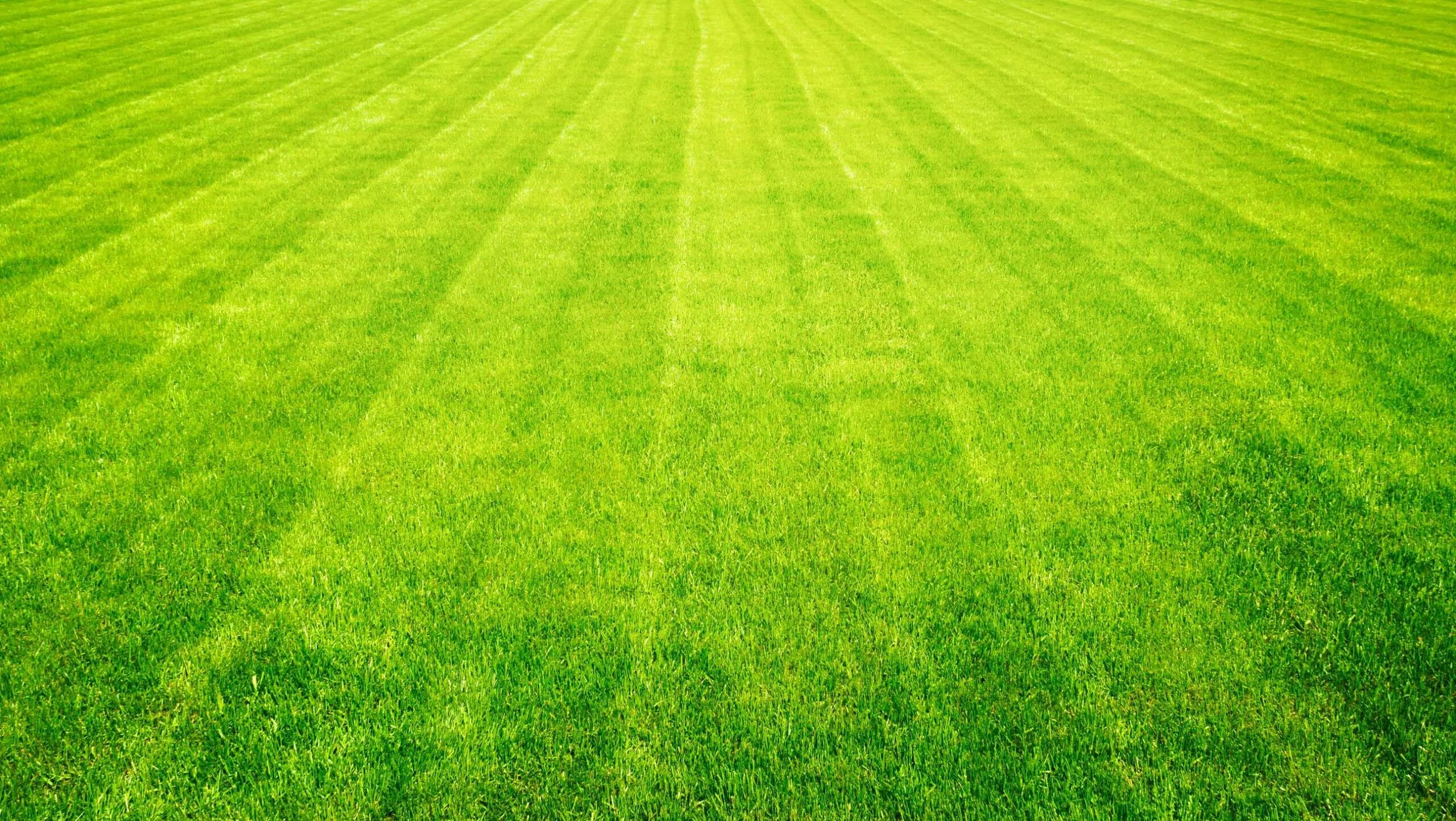 Bright green grass field with neatly mowed parallel lines leading to the horizon.