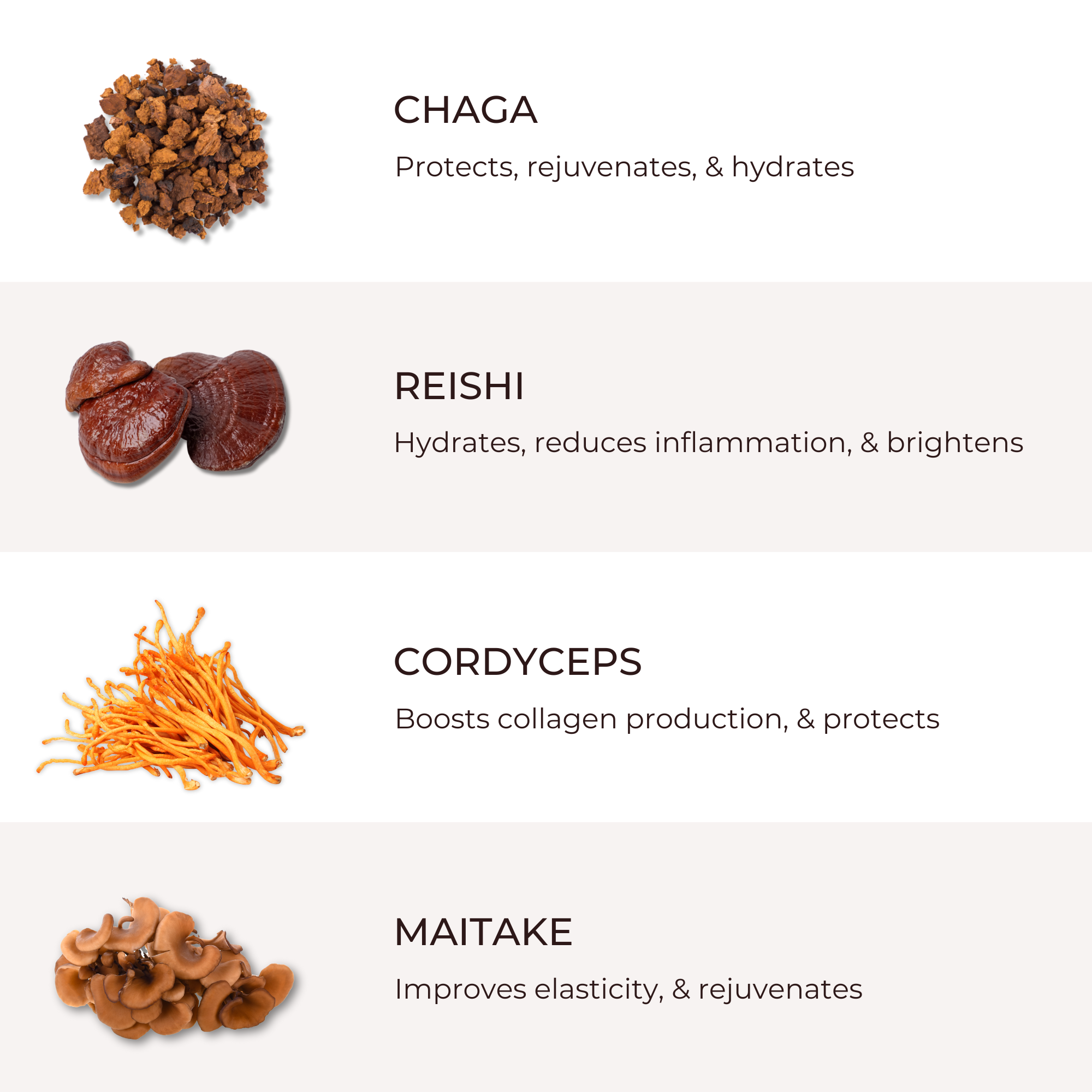 An infographic featuring four superfoods: Chaga mushroom, Reishi mushroom, Cordyceps fungus, and Maitake mushroom, with descriptions of their health benefits.