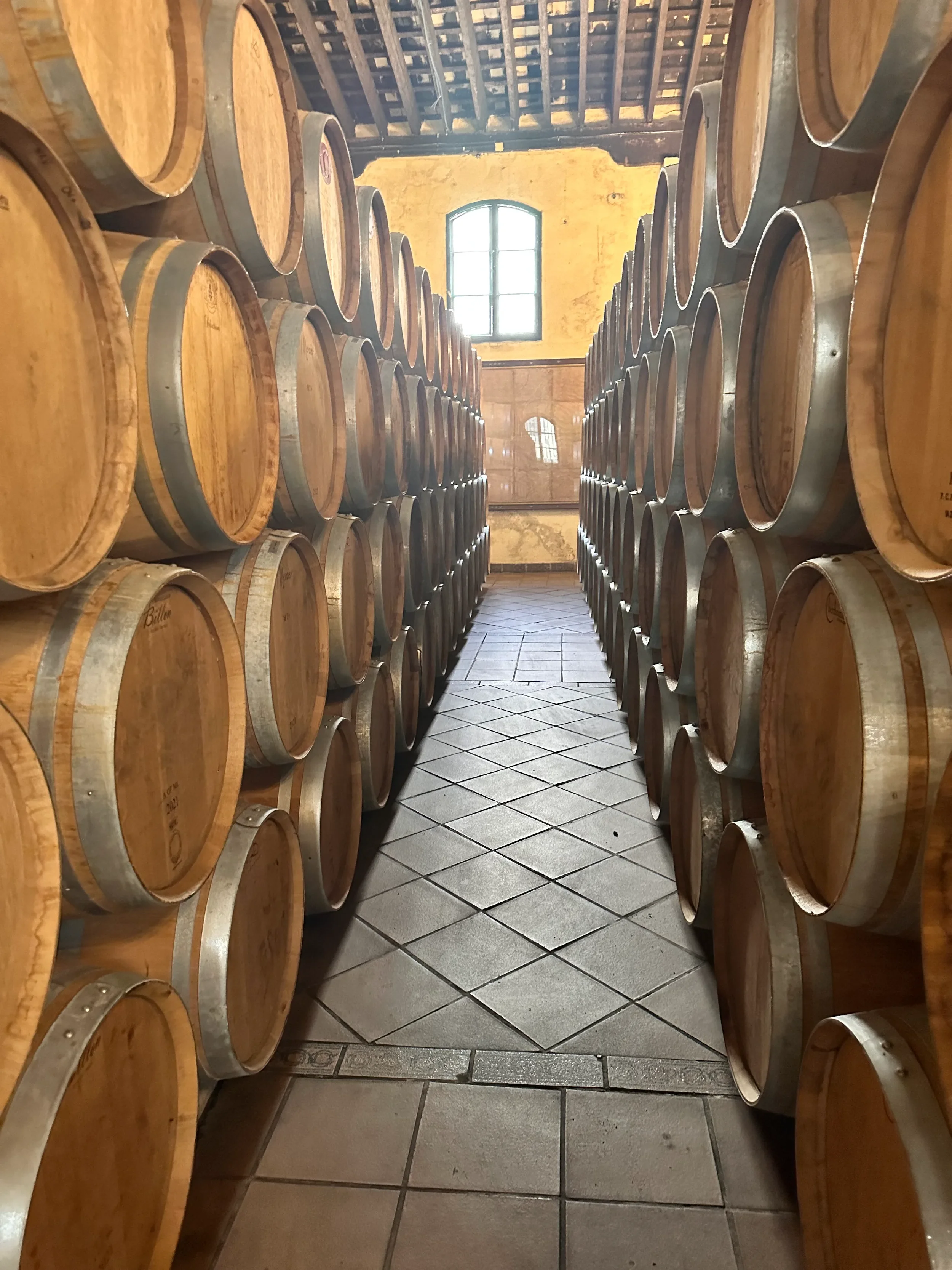 Wine barrels stacked along the walls in a cellar with a window at the end.
