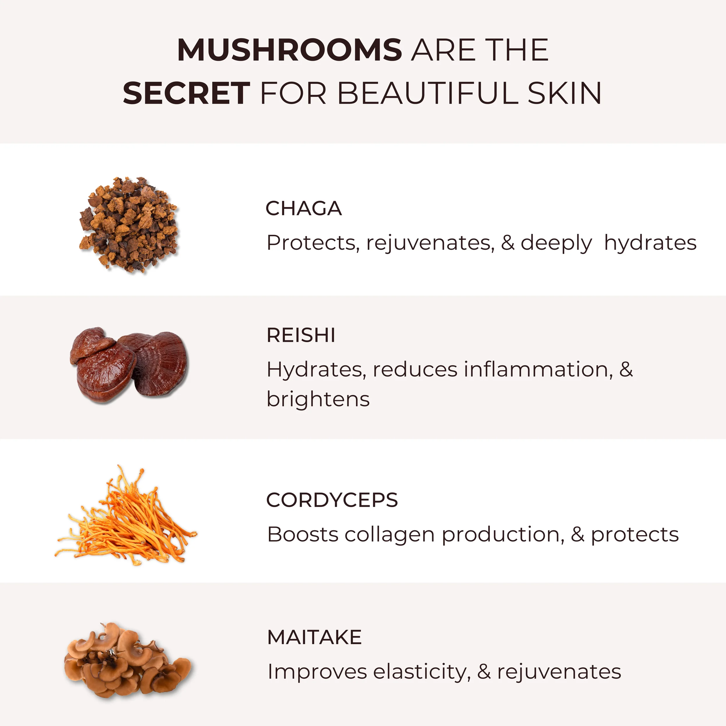 Mushroom Ingredient Breakdown: Chaga, Reishi, Cordyceps, and Maytake with its benedits 