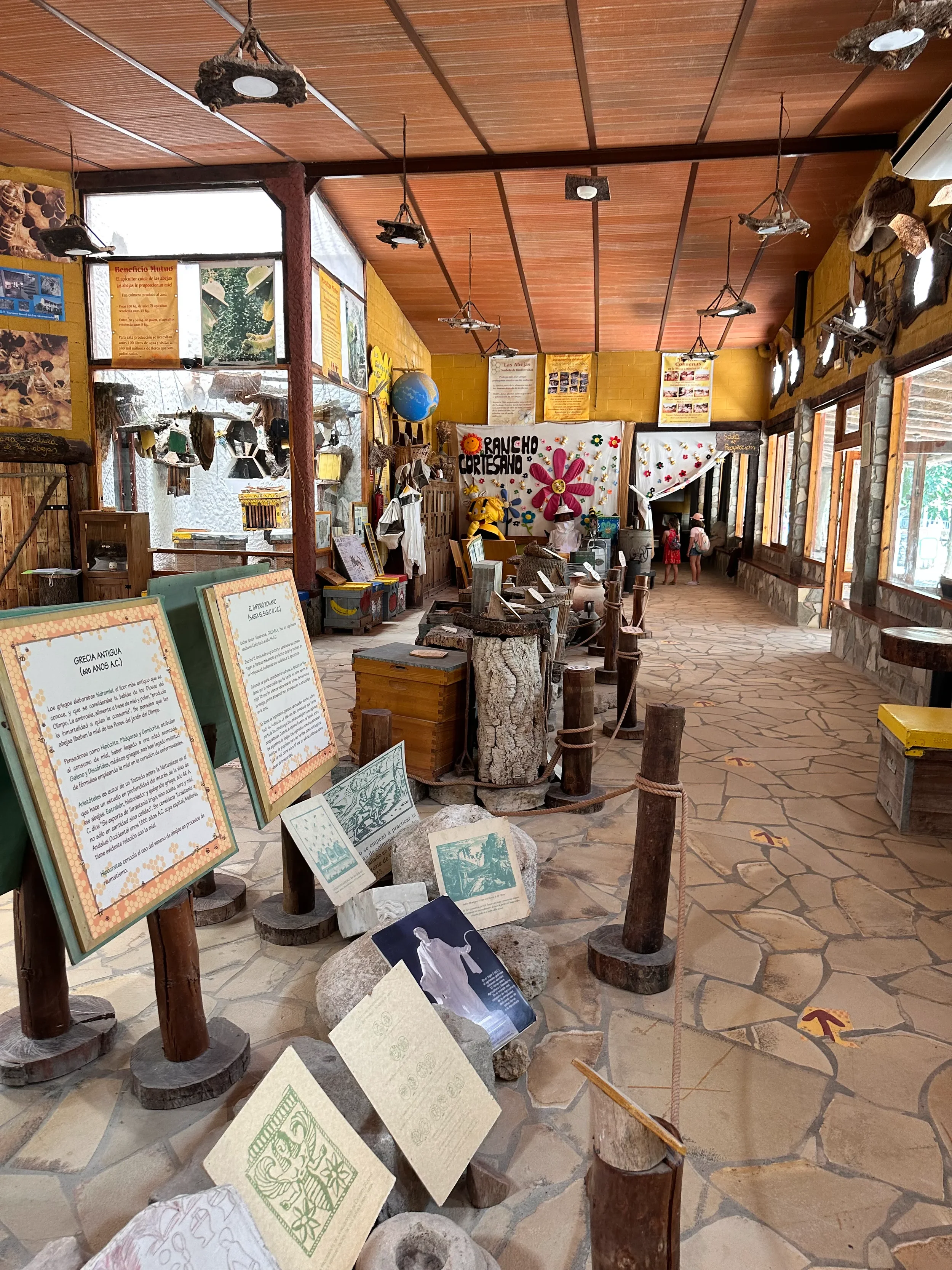 Interior of a museum or educational exhibit with informational display boards, signs, rocks, and wooden furniture, decorated with signs about bees and nature, with several children visiting the area.