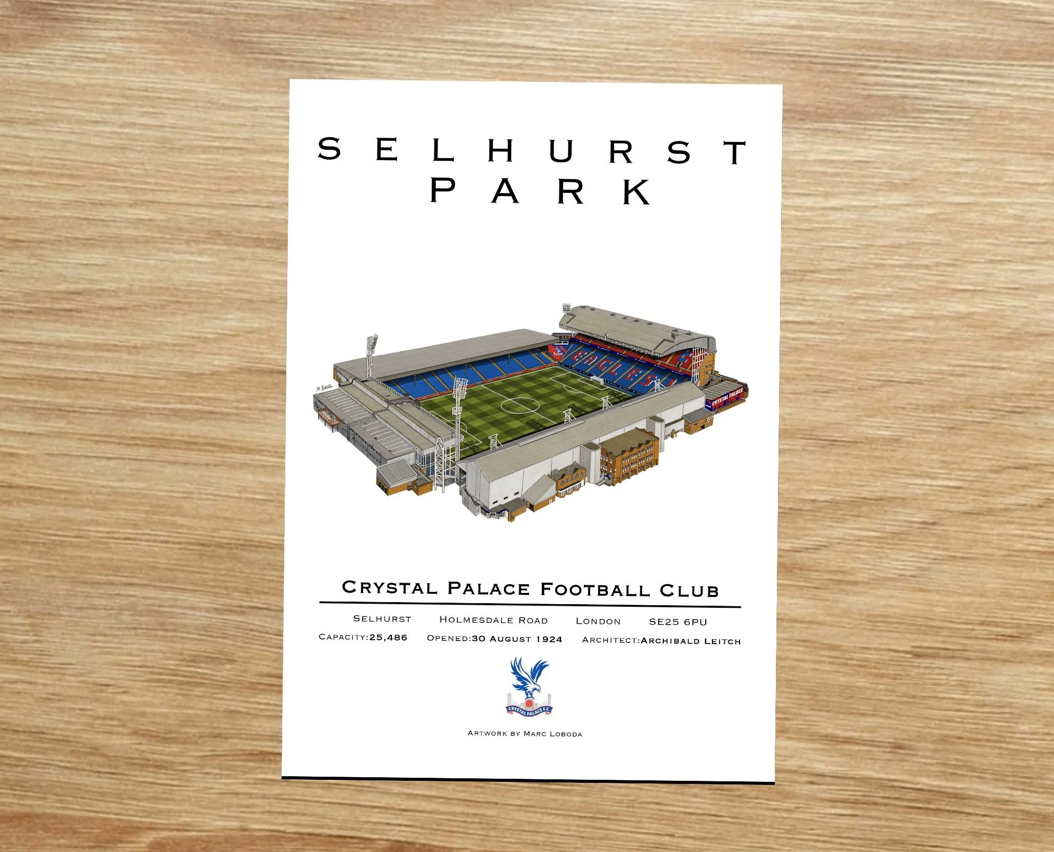 SELHURST PARK ALTERNATE PRINT