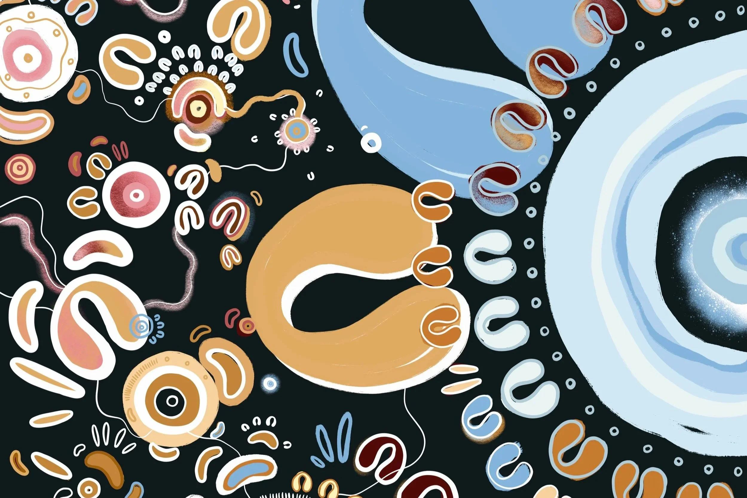 About Us — Yoorana Gunya