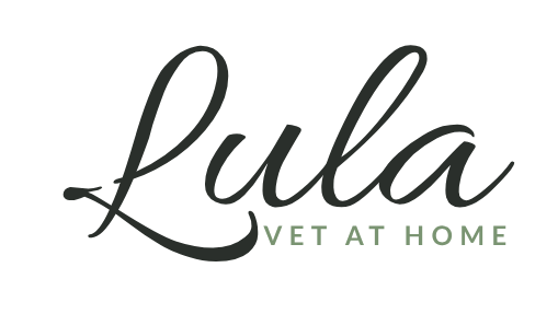 Lula Vet At Home