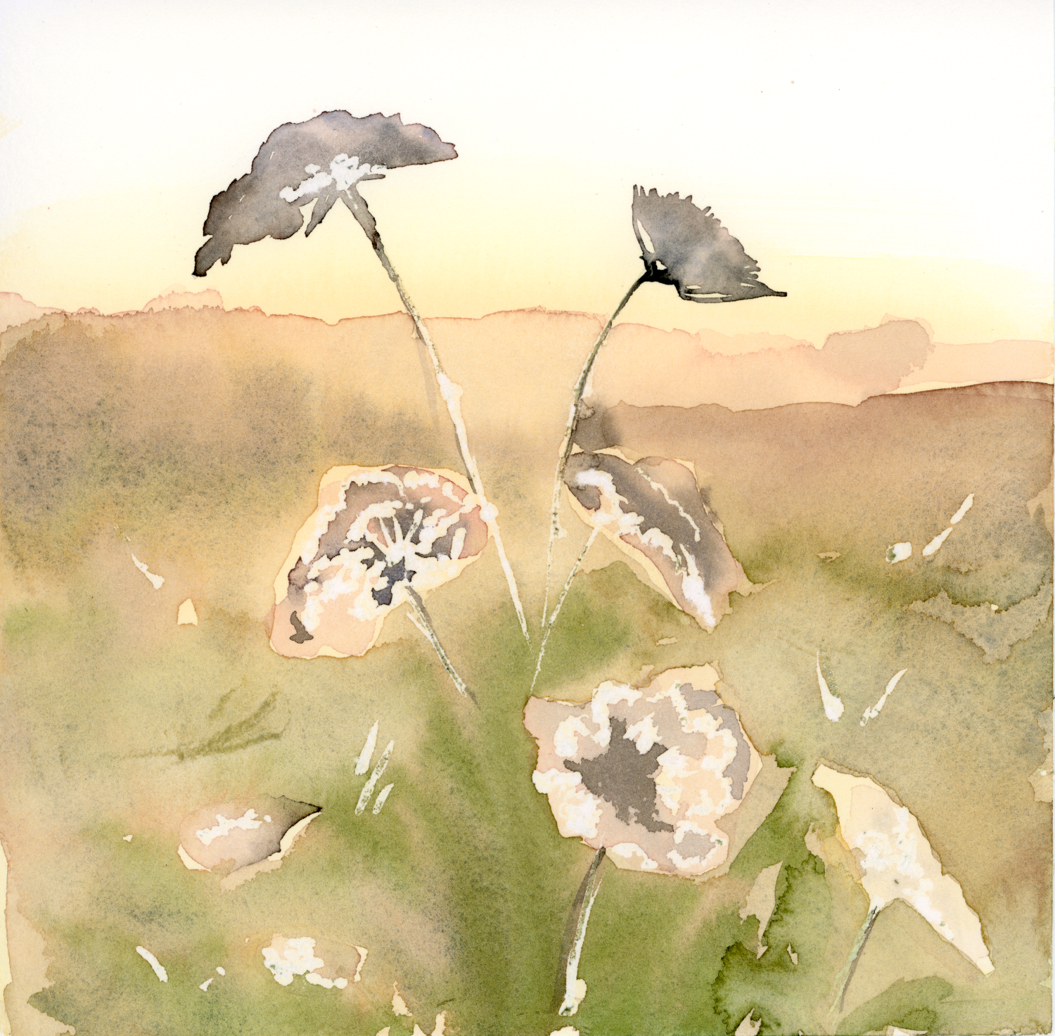 Bloom, watercolour on paper