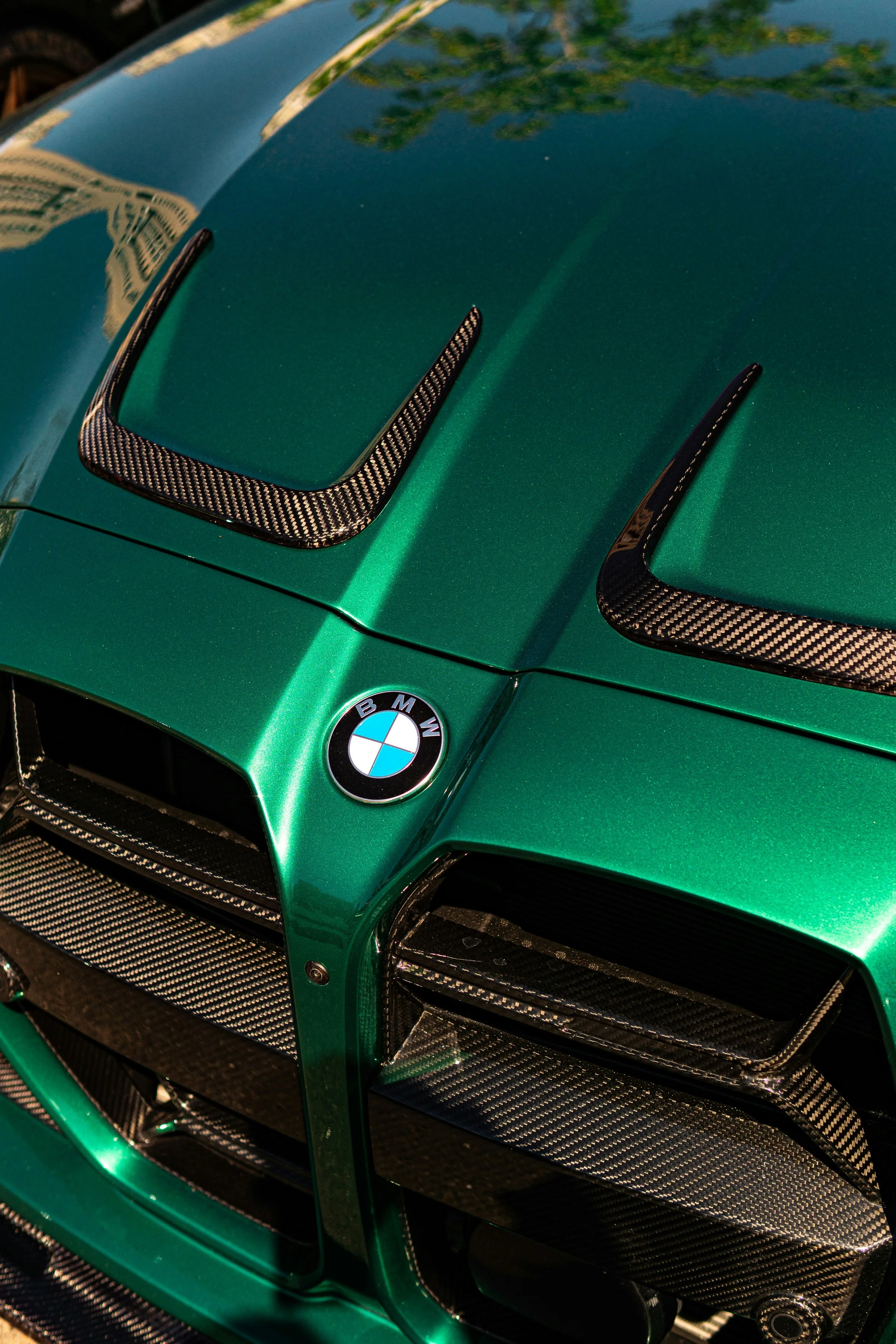 Custom carbon fiber hood trim