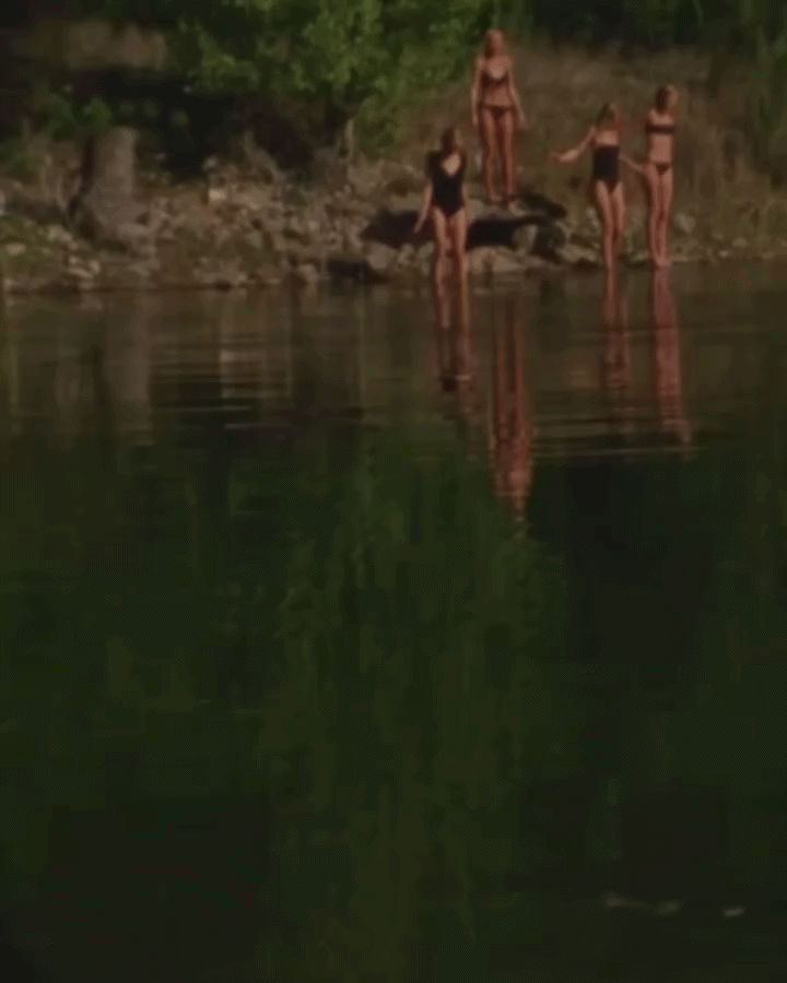 ezgif-295cedc47b83532a.gif