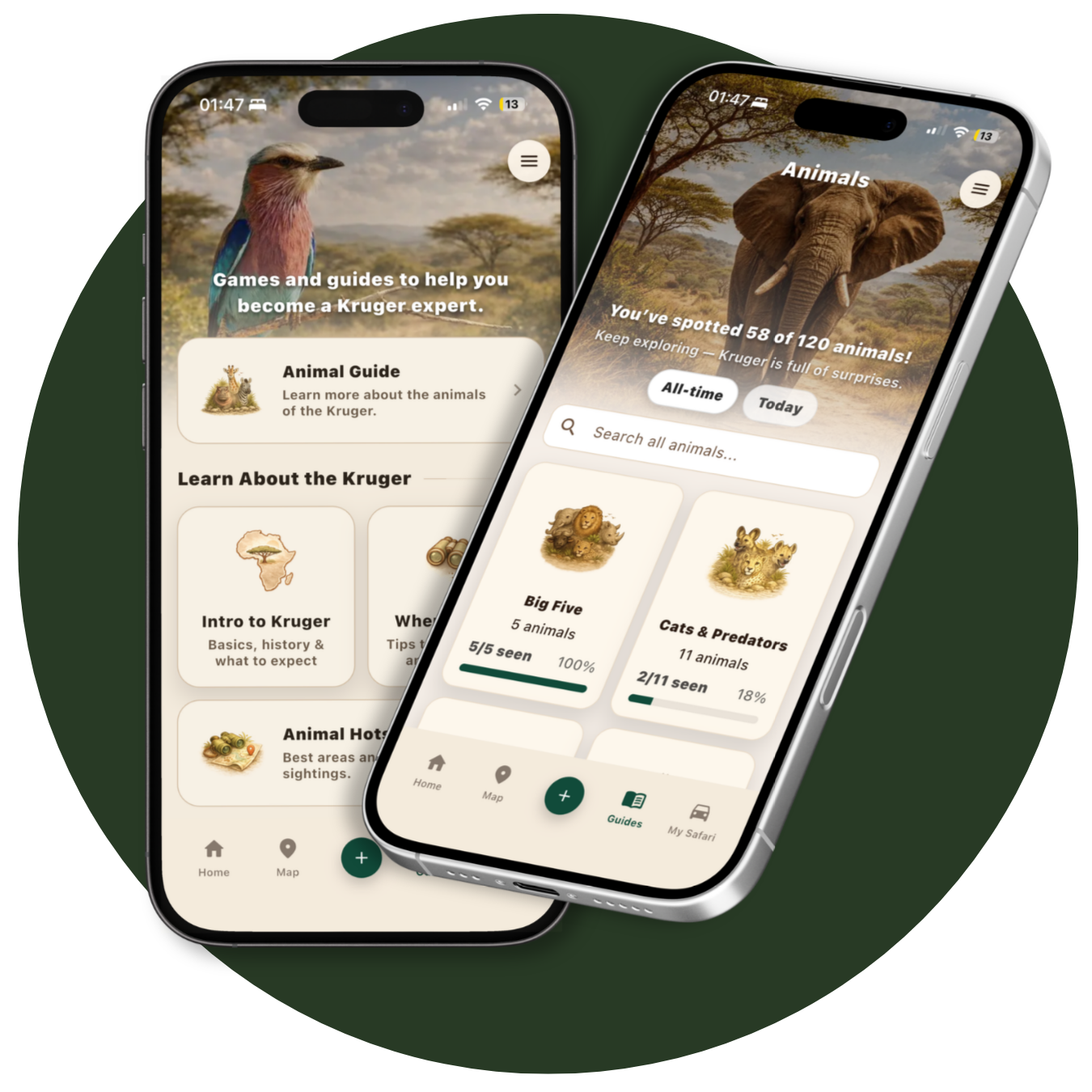 Two smartphones displaying a wildlife animal tracking app. The left phone shows the app's main menu with a bird image at the top, and options for learning about the Kruger area and animal hotspots. The right phone shows a page tracking surrounding animals, with a large elephant image and a list of animal groups, including "Big Five" and "Cats & Predators," along with their sighting progress.