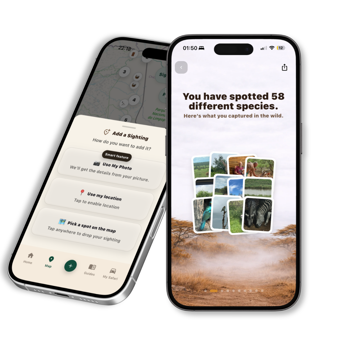 Safari Spotter app screens showing wildlife tracking, species progress, and safari photo memories