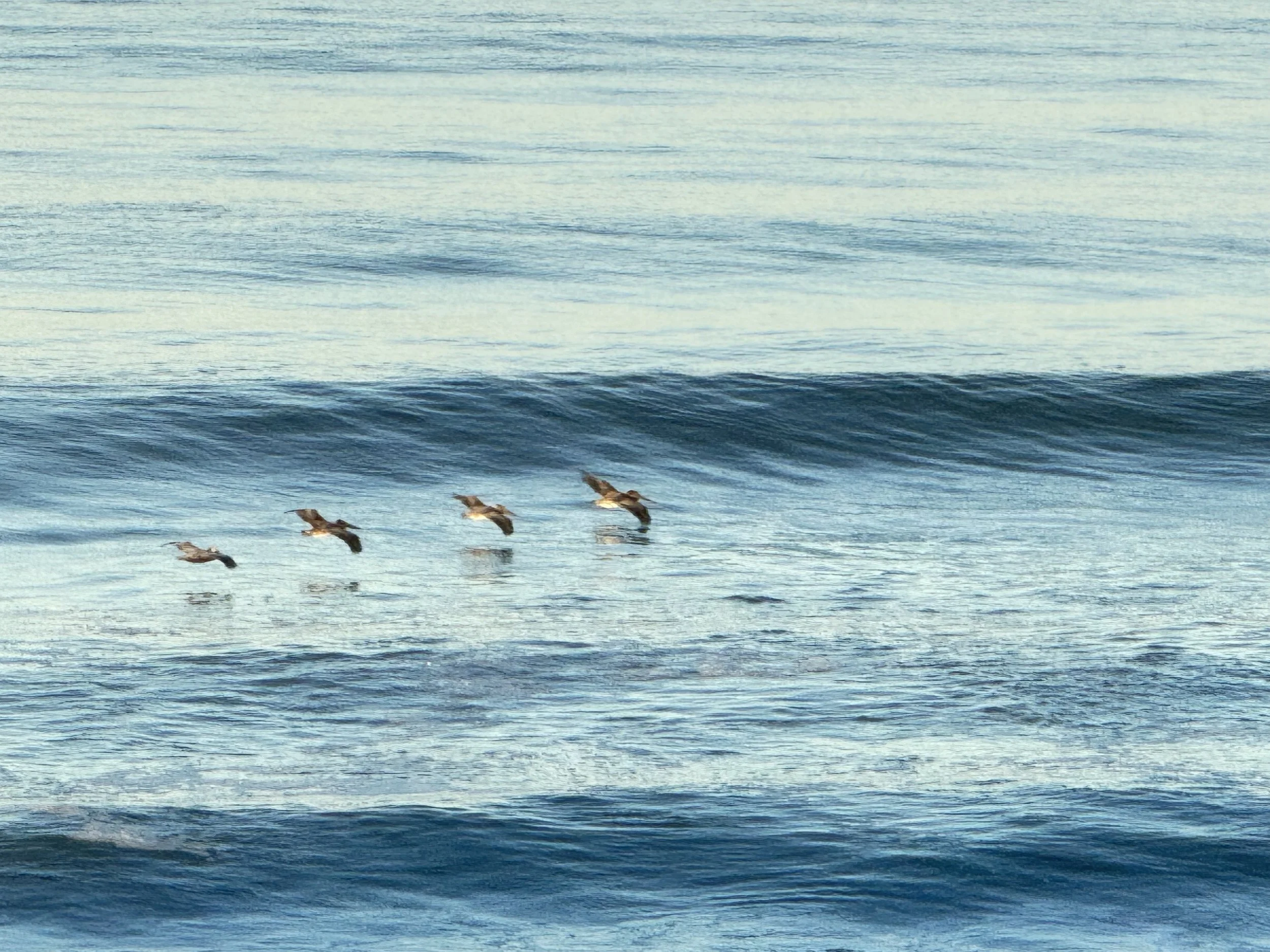 Don’t forget to wave