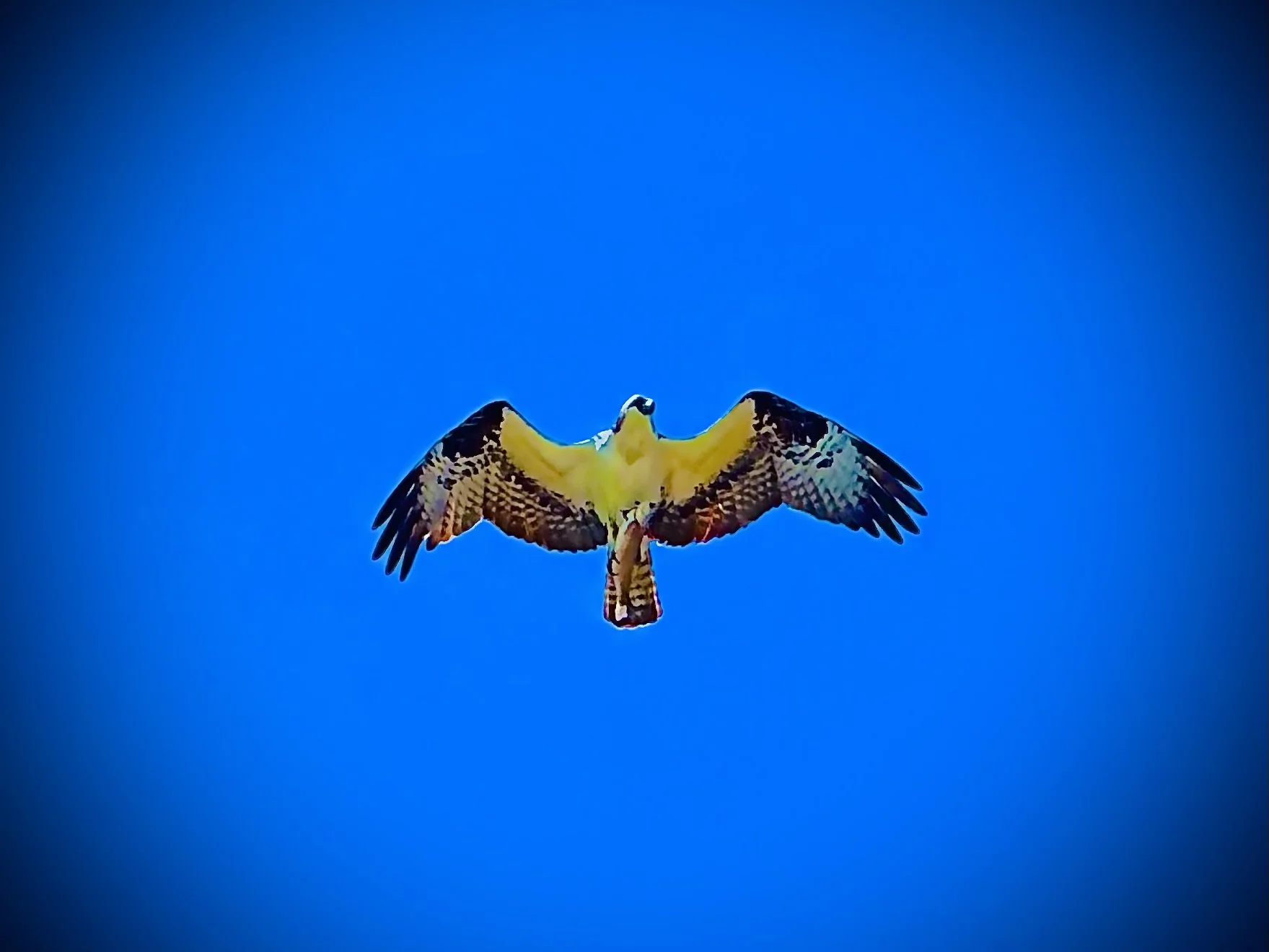 Life is a Beautiful AnOmAlY