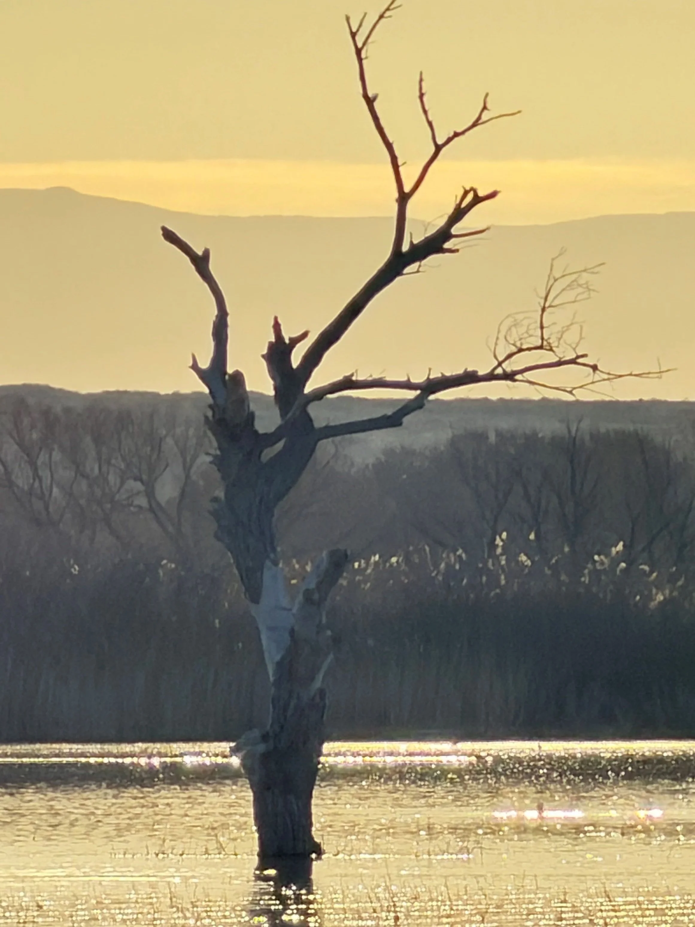 Created                         Circumstances