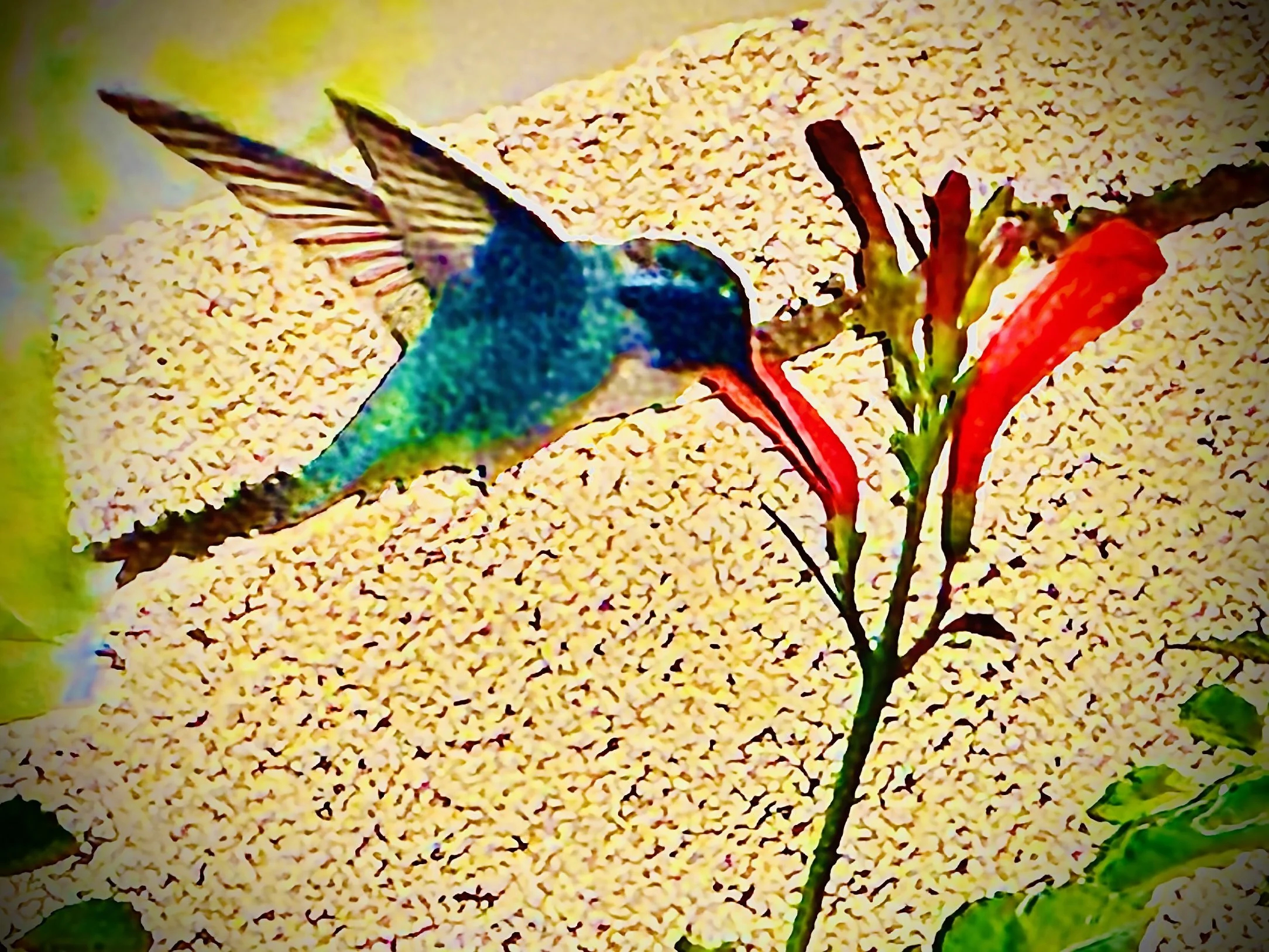 Hummingbird Wings -> A letter to my true friends