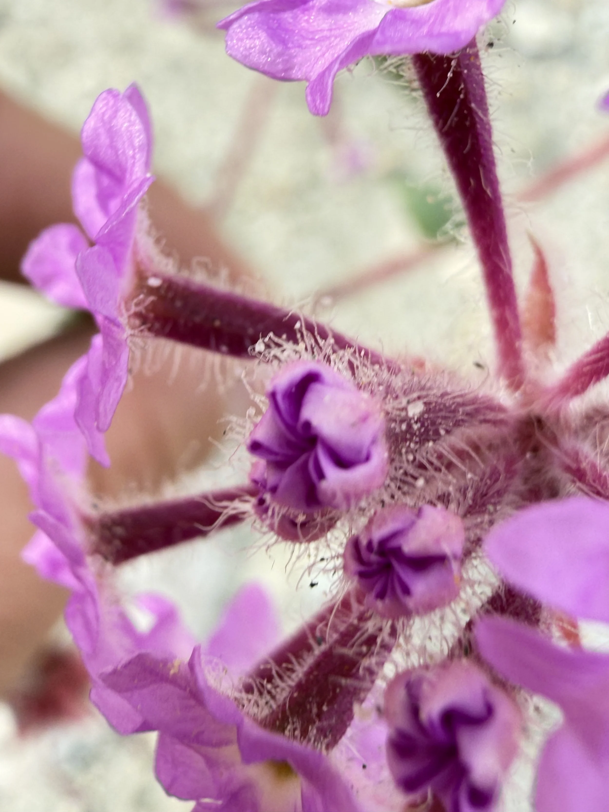 The tablet has been broken