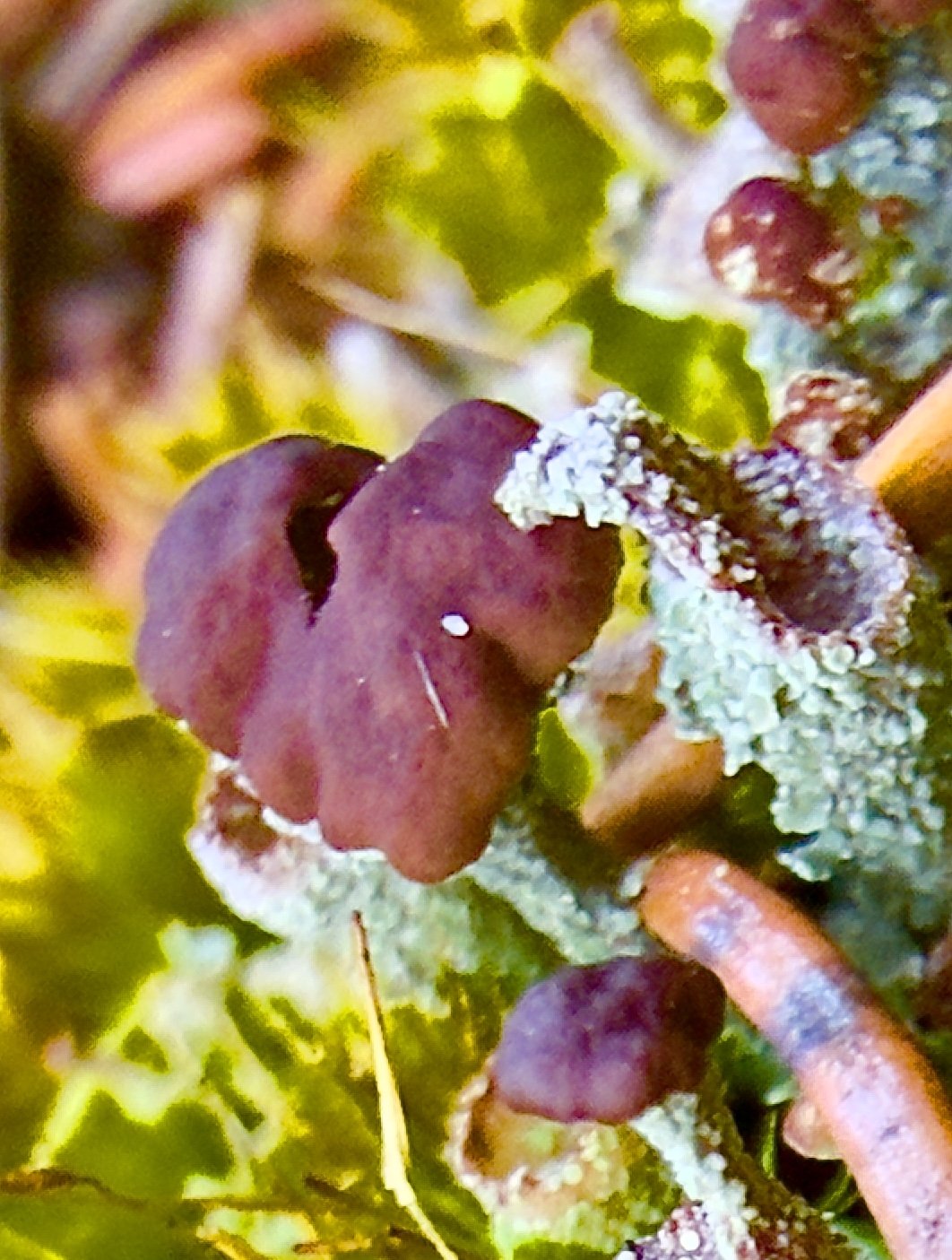 ASTRIDE A BEAM OF LIGHT