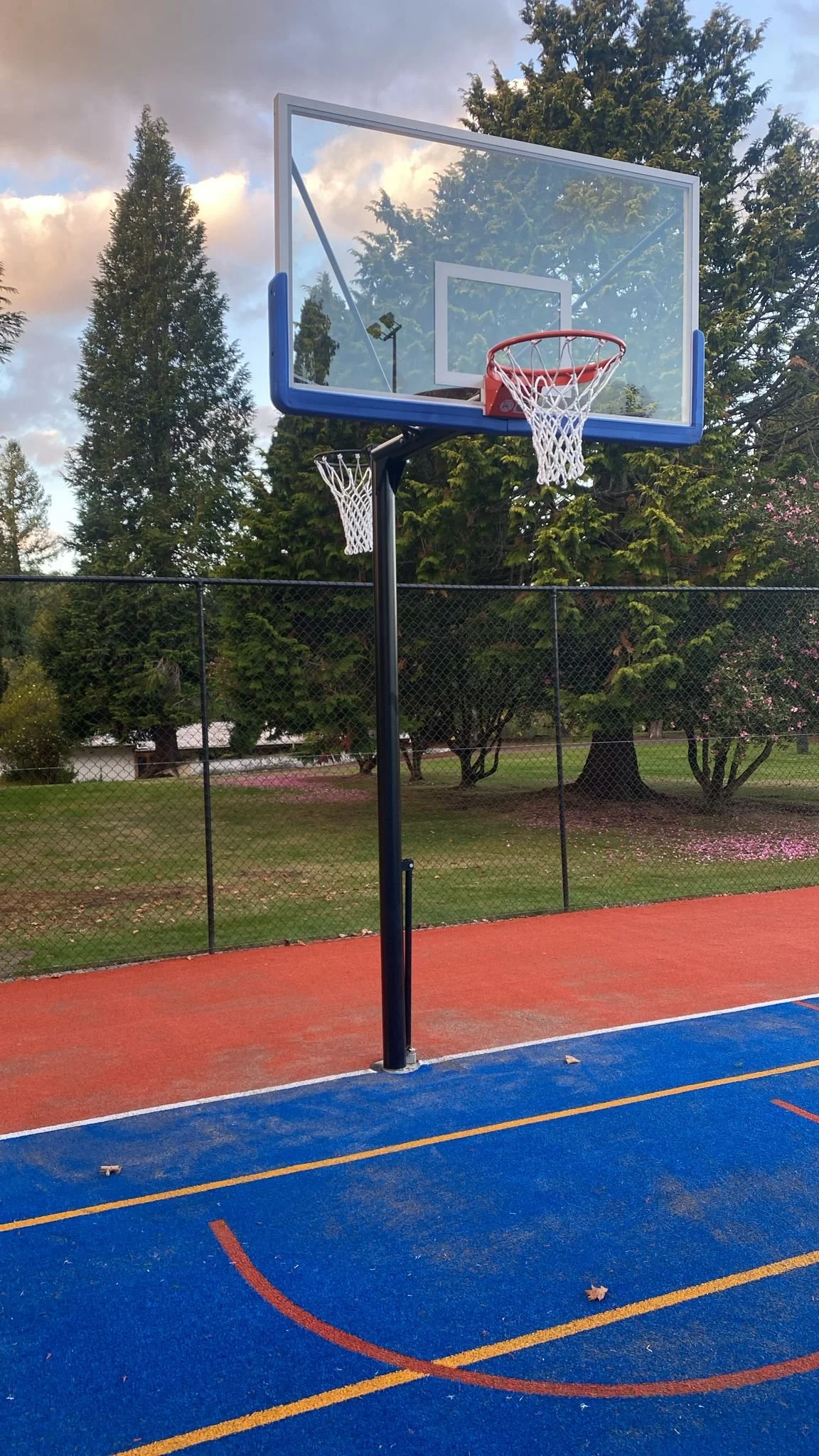 Reversible Basketball and Netball Systems: Fixed Height