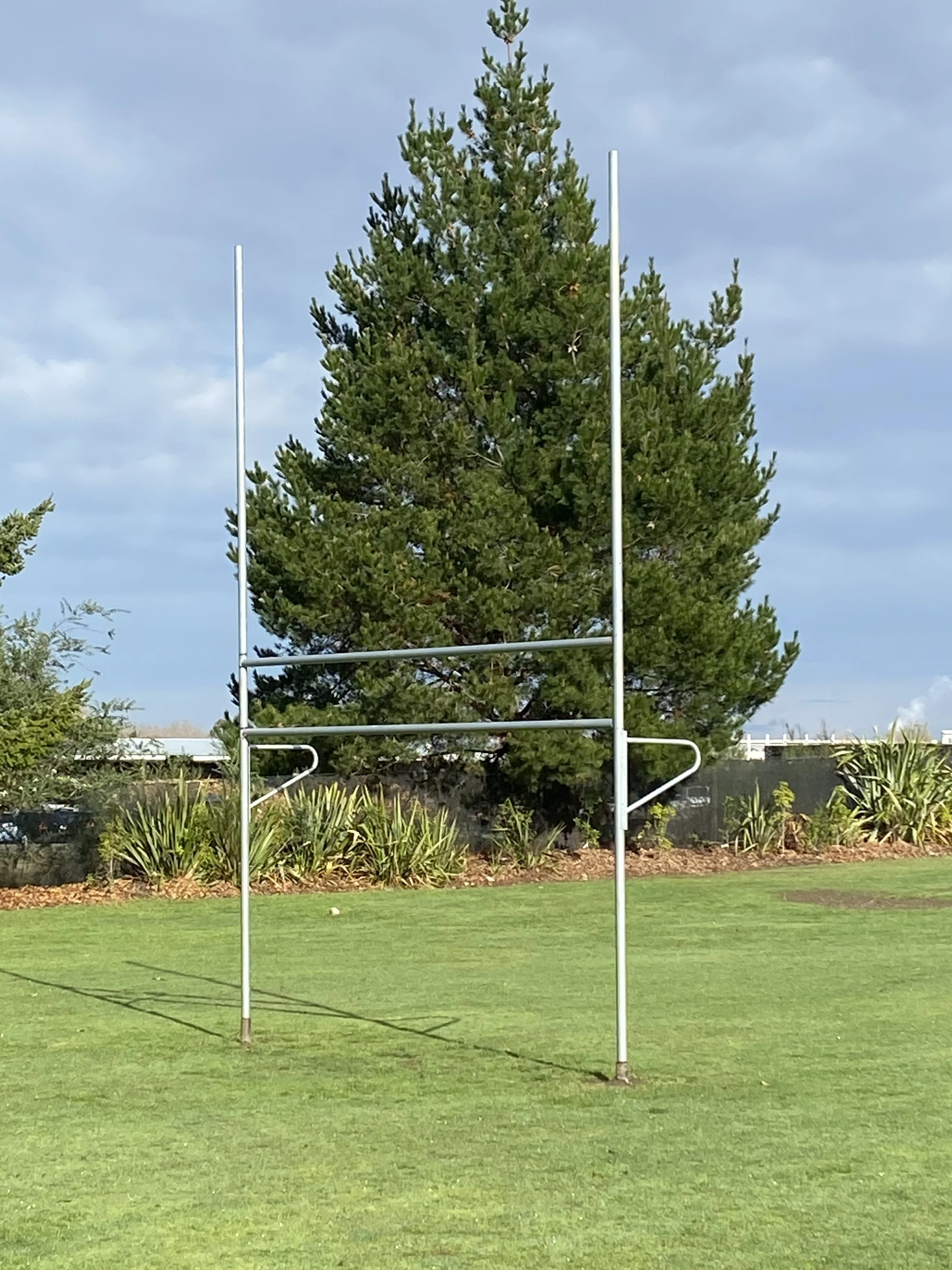 Combination Rugby/Soccer Goal: Junior Size
