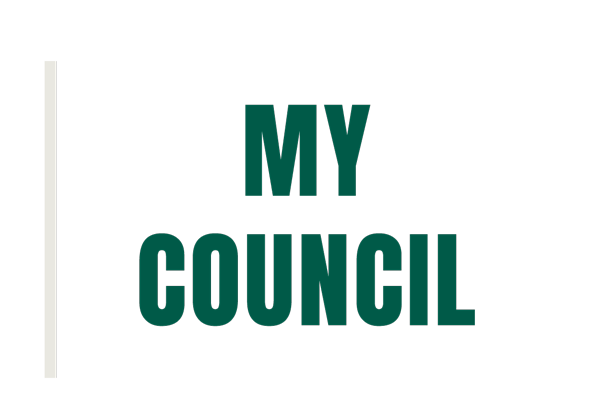 local councils new zealand
