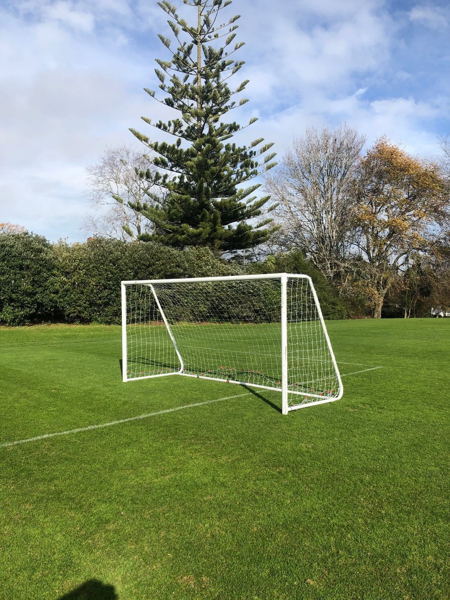 Freestanding Soccer Goal: 5 x Size Options