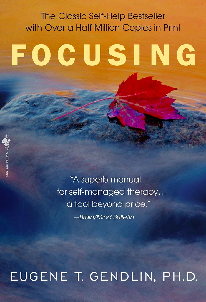 Focusing book cover
