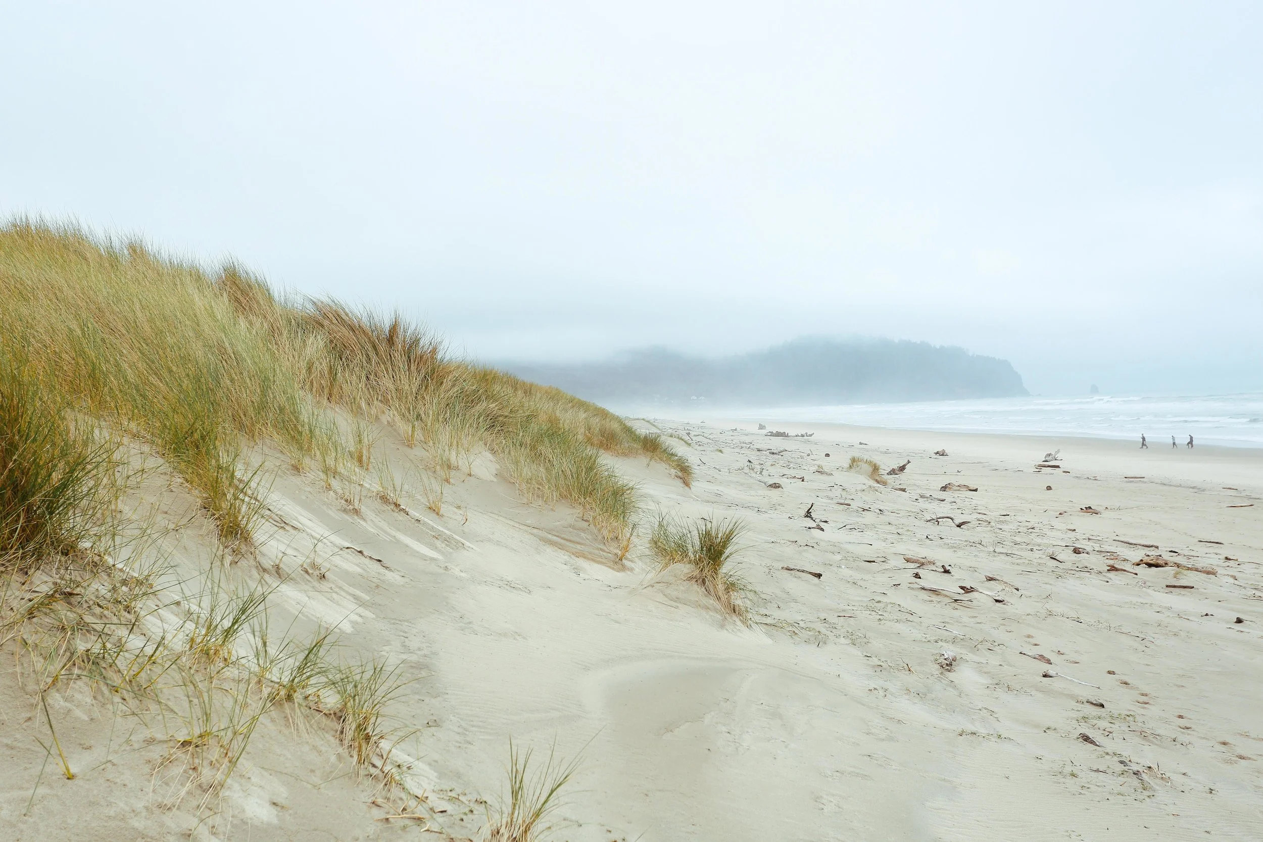 tillamook adv (9 of 42) (1).jpg