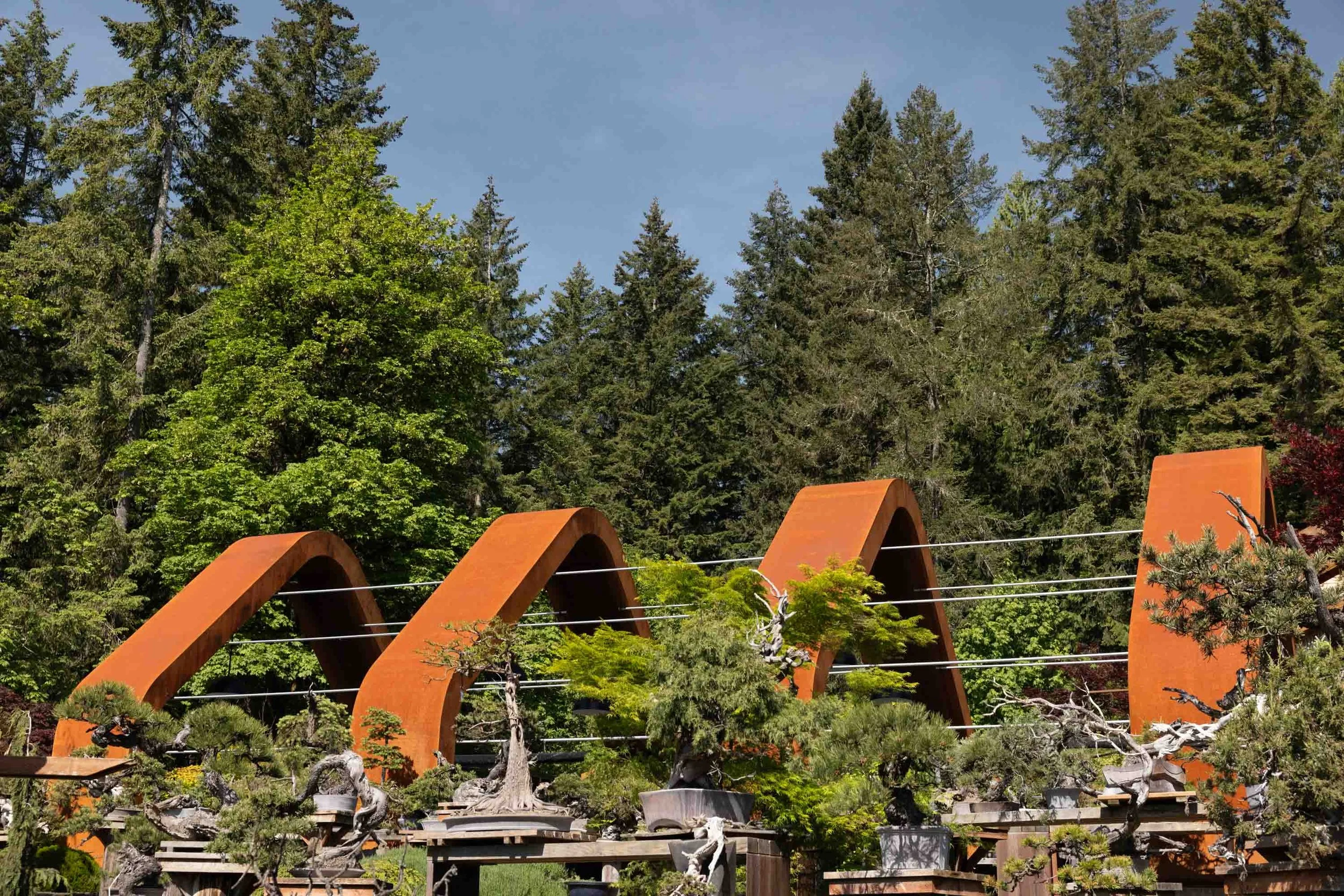 2025_Summer_Bonsai Mirai-21.JPG